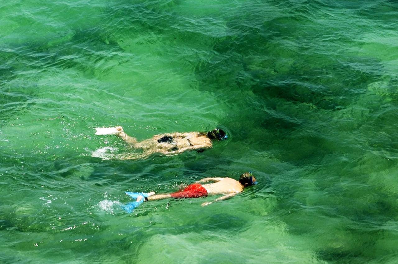 Snorkel in the waters around Noosa&nbsp;&nbsp;&bull;&nbsp;&nbsp;Getty Images