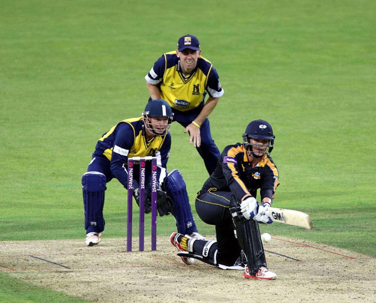 Alex Lees guided Yorkshire's chase, Yorkshire v Birmingham, NatWest T20 Blast, North Group, Headingley, July 24, 2015