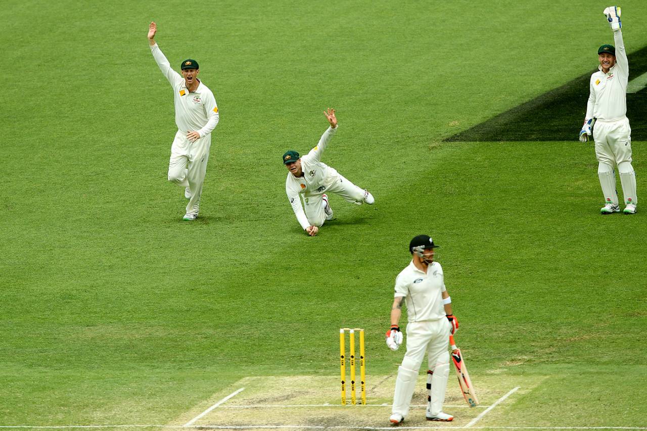 Steve Smith appeals after taking a catch to dismiss Brendon McCullum, Australia v New Zealand, 1st Test, Brisbane, 5th day, November 9, 2015