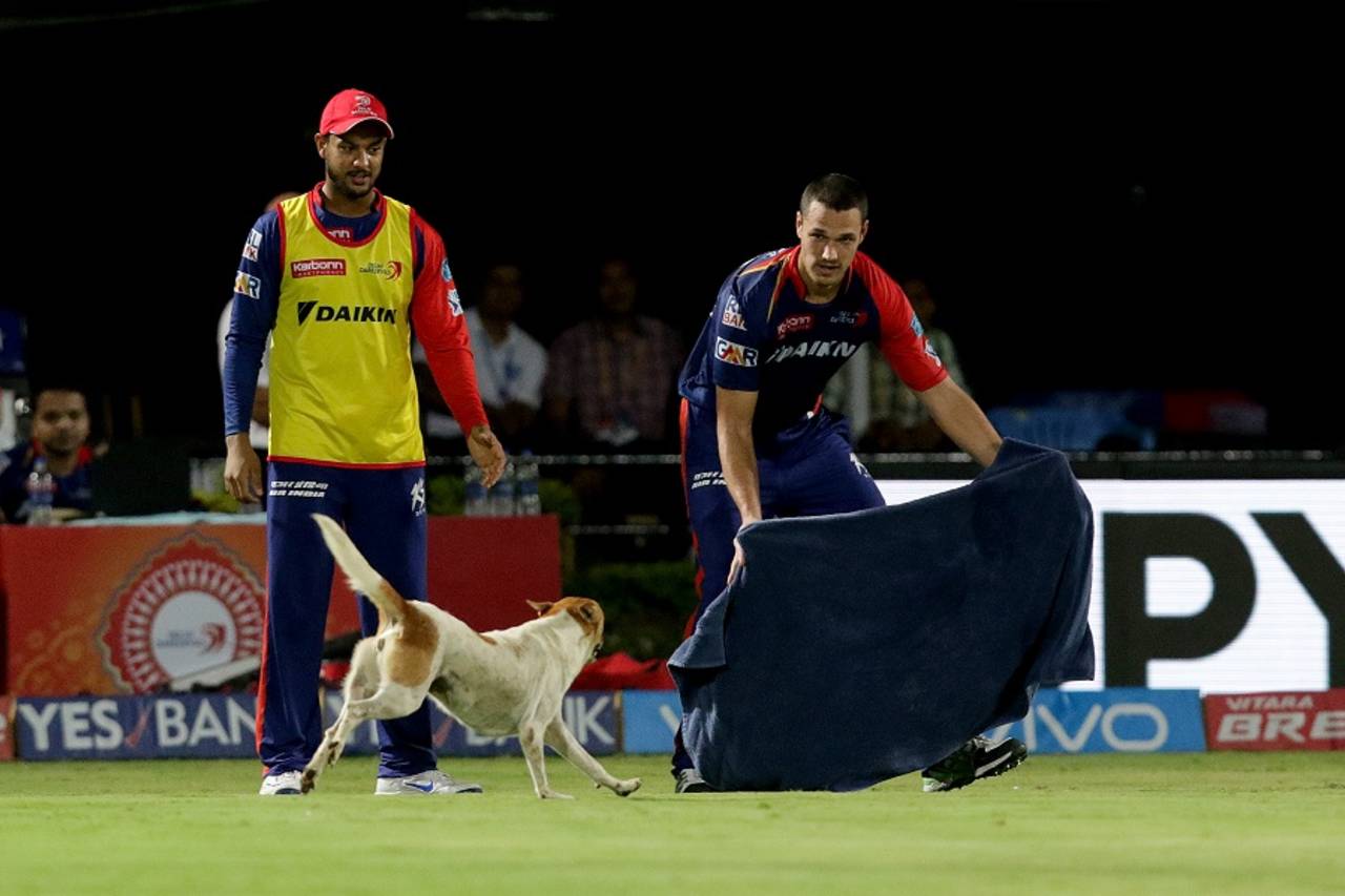 Nathan Coulter-Nile tries to lure a dog out of the field after it interrupts play, Rising Pune Supergiants v Delhi Daredevils, IPL 2016, Visakhapatnam, May 17, 2016