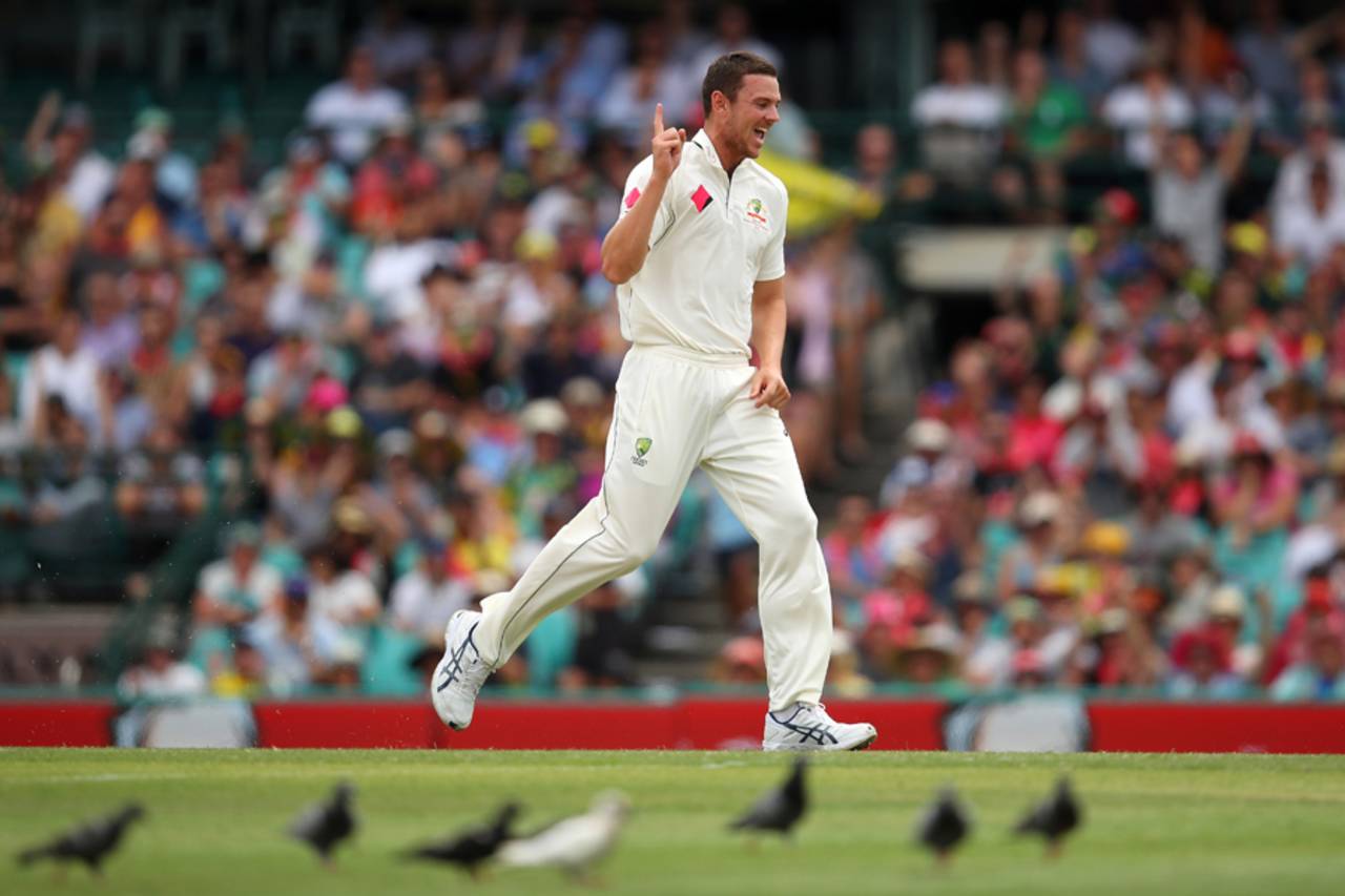 Josh Hazlewood has bowled over 270 overs in the 2016-17 Australian Test summer&nbsp;&nbsp;&bull;&nbsp;&nbsp;Getty Images