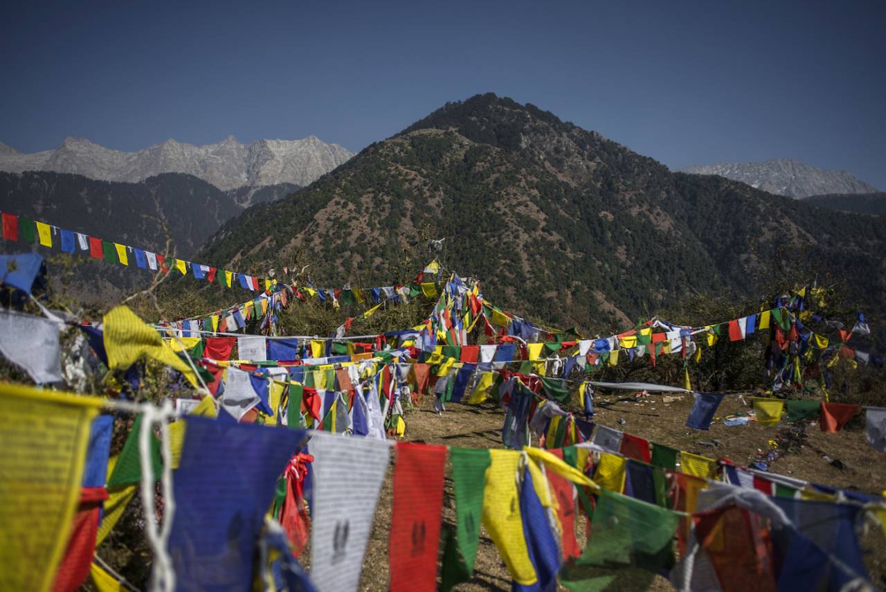 Tibetan Buddhist prayer flags in Dharamkot&nbsp;&nbsp;&bull;&nbsp;&nbsp;Getty Images
