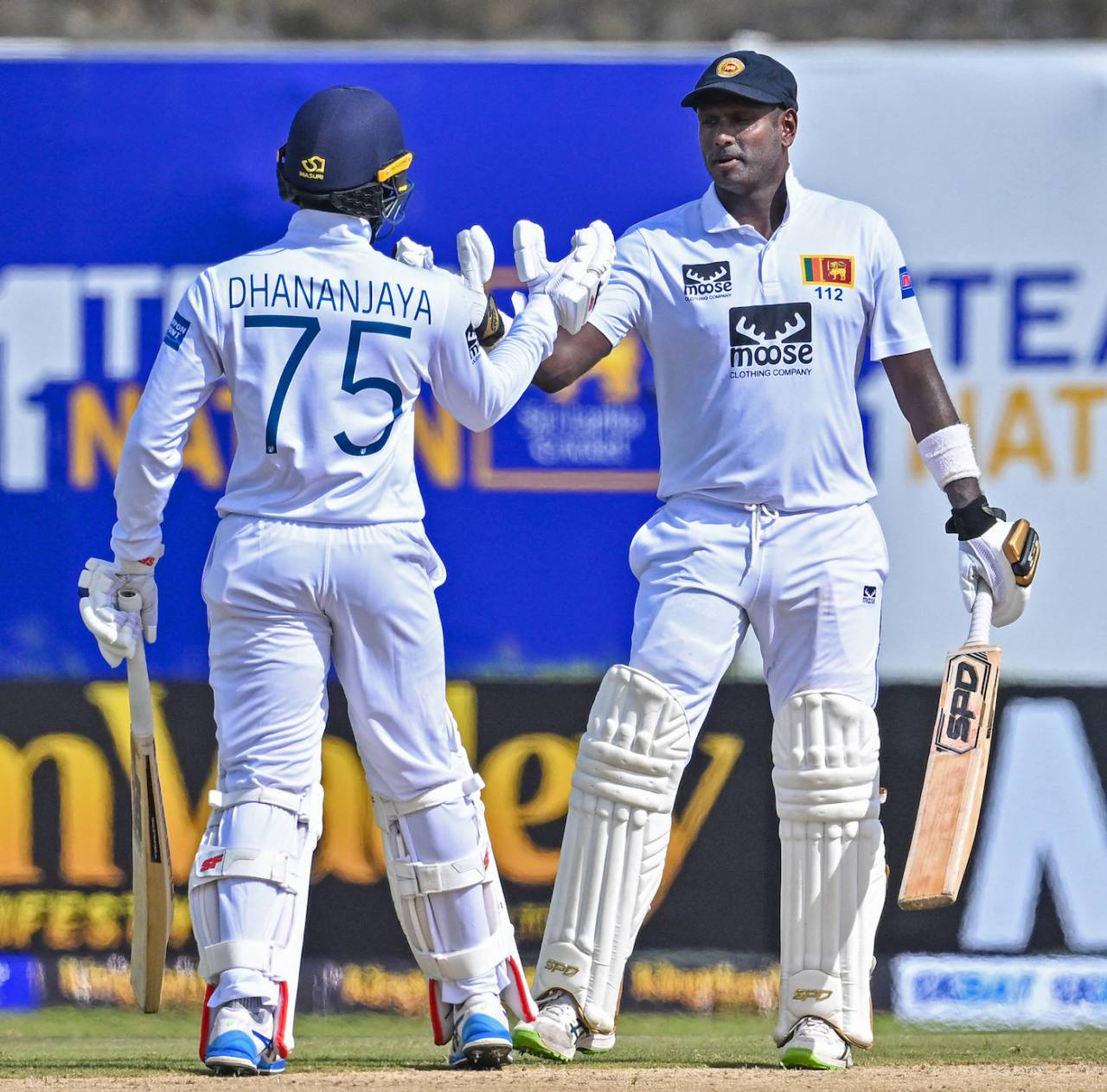 Angelo Mathews and Dhananjaya de Silva brought Sri Lanka right back in the contest with a 131-run stand