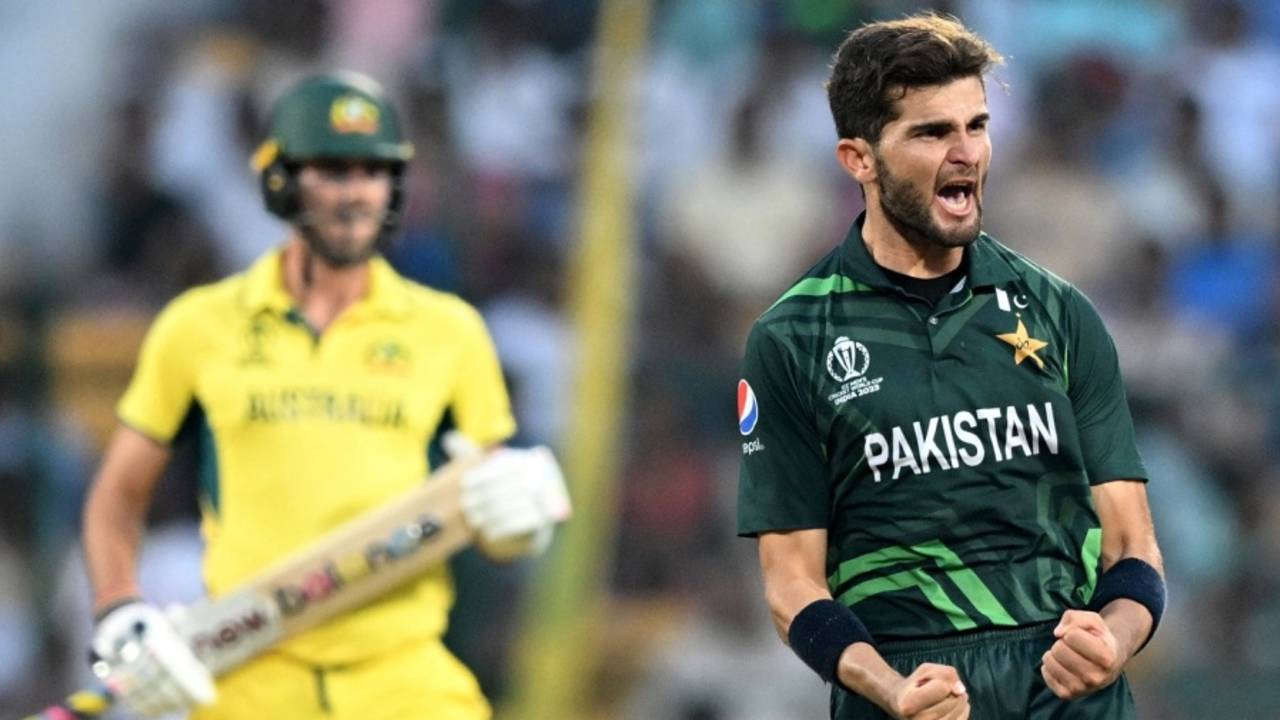 Shaheen Shah Afridi picked up a five-for, one reason for Pakistan fans to cheer