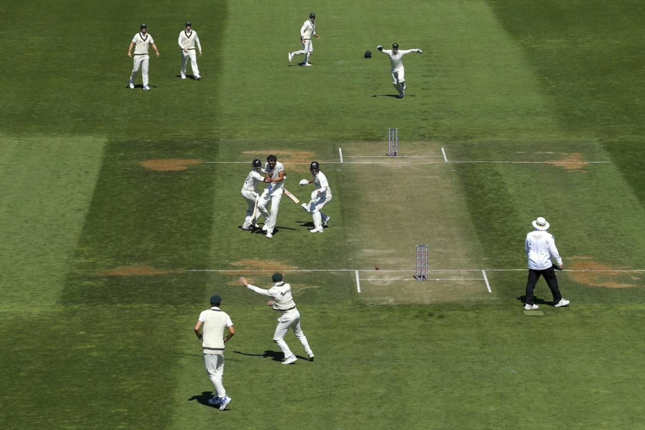 Kane Williamson, Will Young and Mitchell Starc all get into a tangle, New Zealand vs Australia, 1st Test, Wellington, 2nd day, March 1, 2024