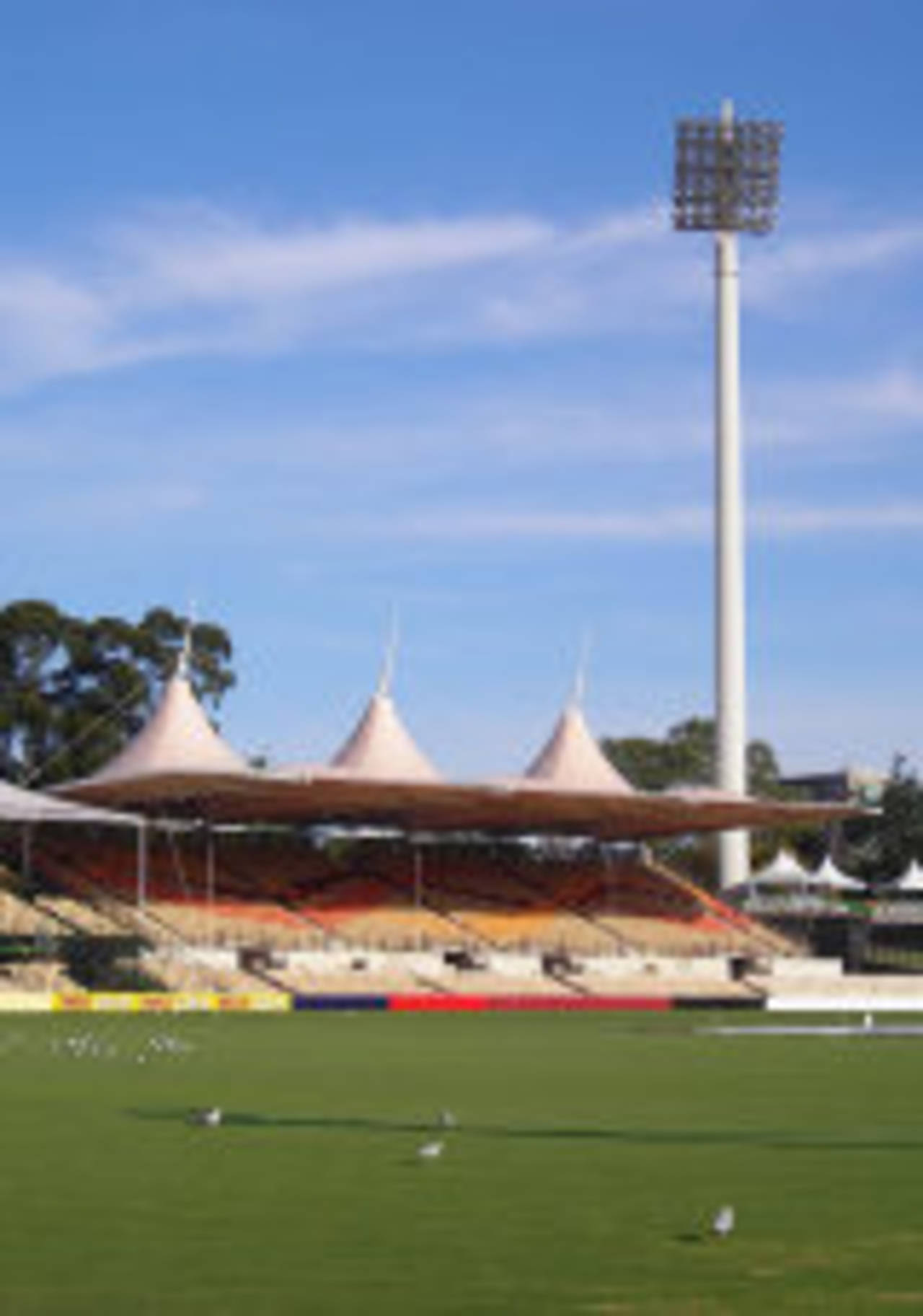An empty Adelaide Oval