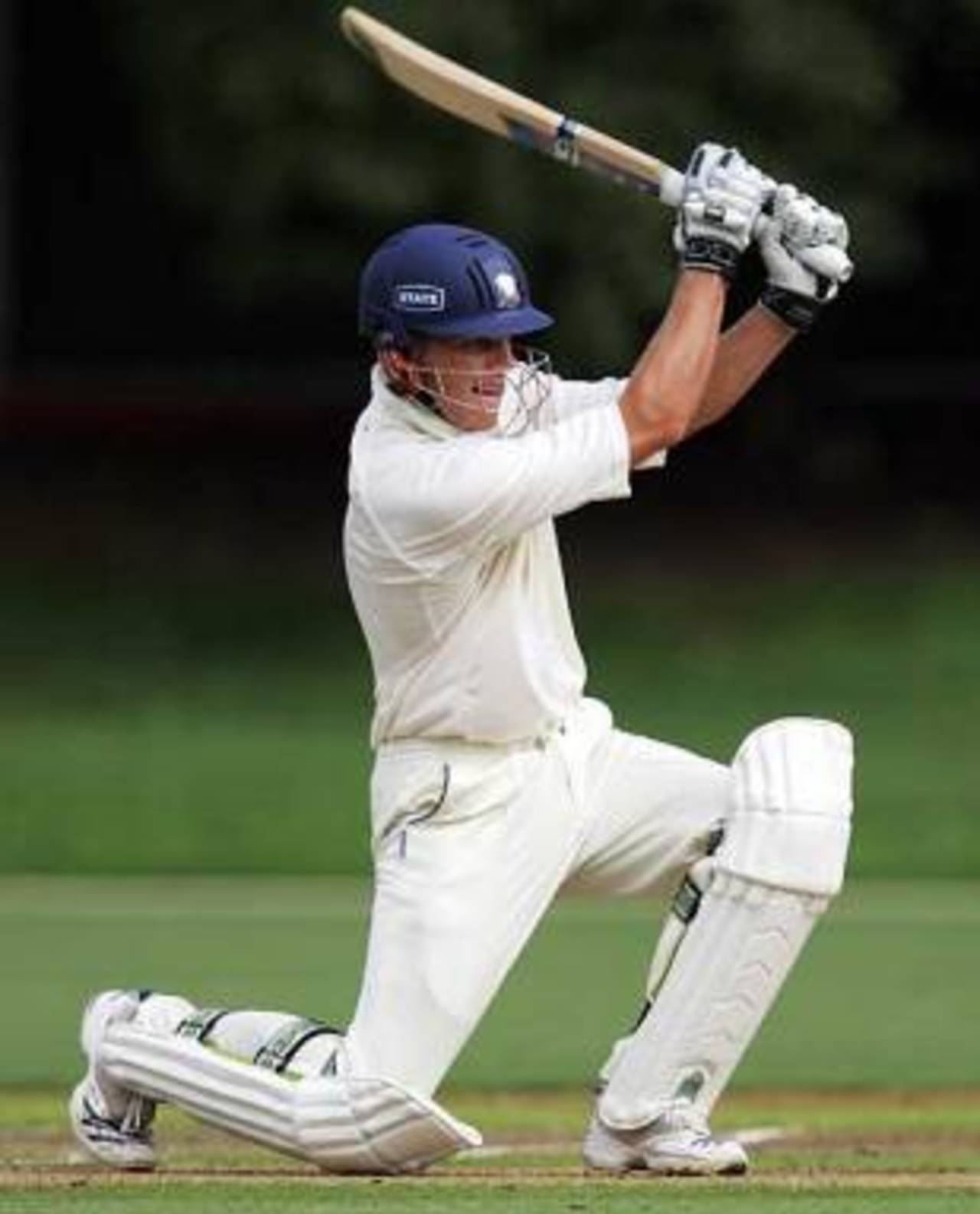 Rob Nicol scored 34 against Wellington, Auckland v Wellington, State Championship, 1st day, Auckland, March 6, 2008