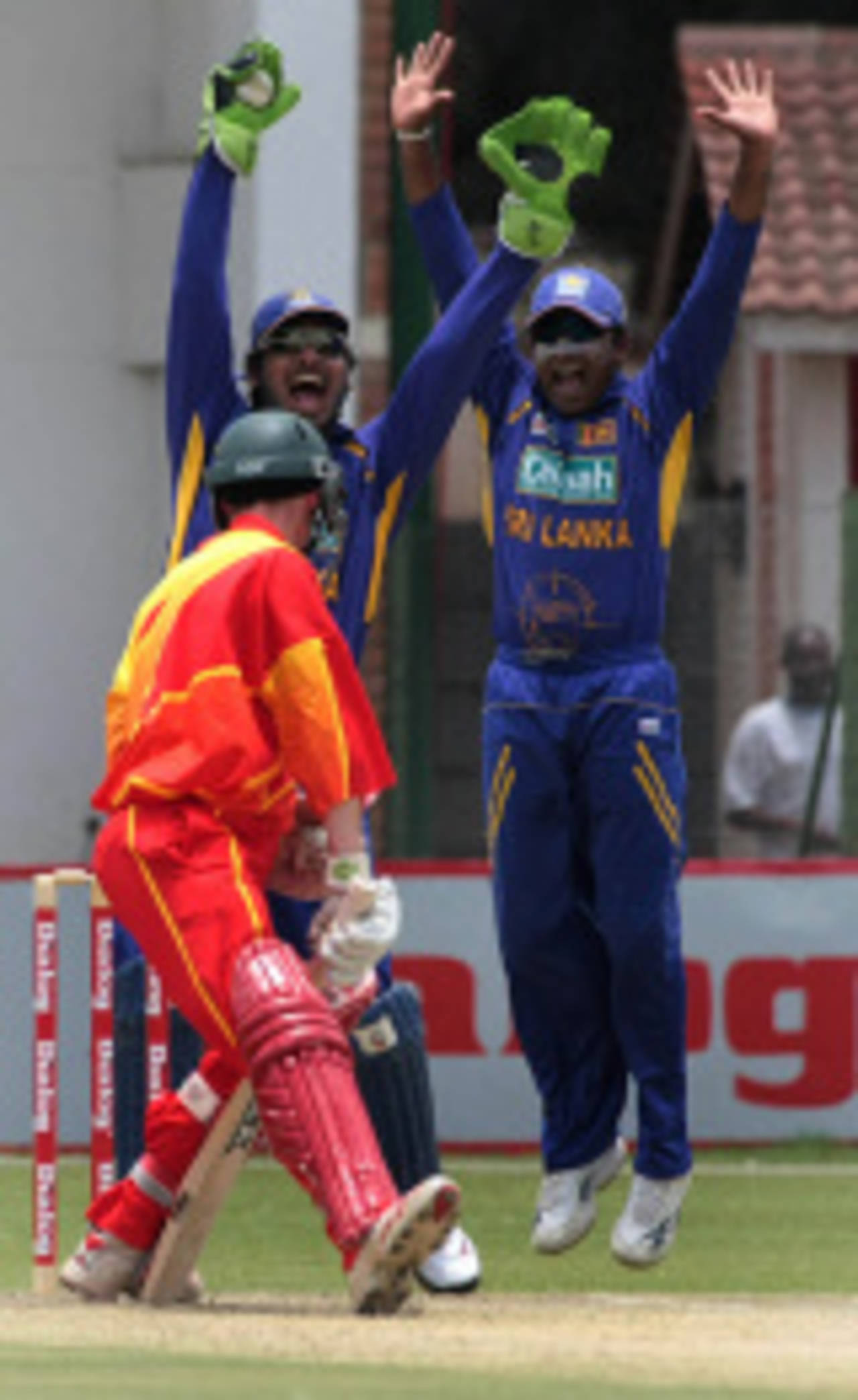 Sean Williams survives a close lbw shout, Zimbabwe v Sri Lanka, 2nd ODI, Harare, November 22, 2008