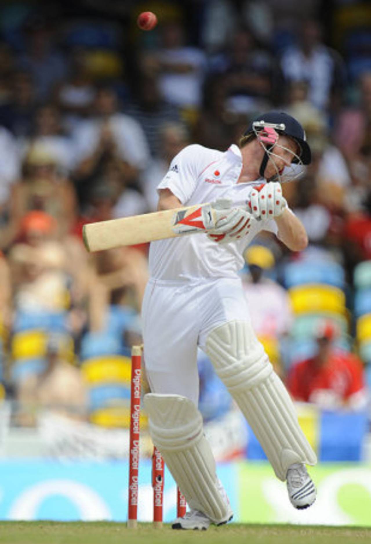 Paul Collingwood takes evasive action from a Fidel Edwards bouncer, West Indies v England, Barbados, 4th Test, February 27, 2009