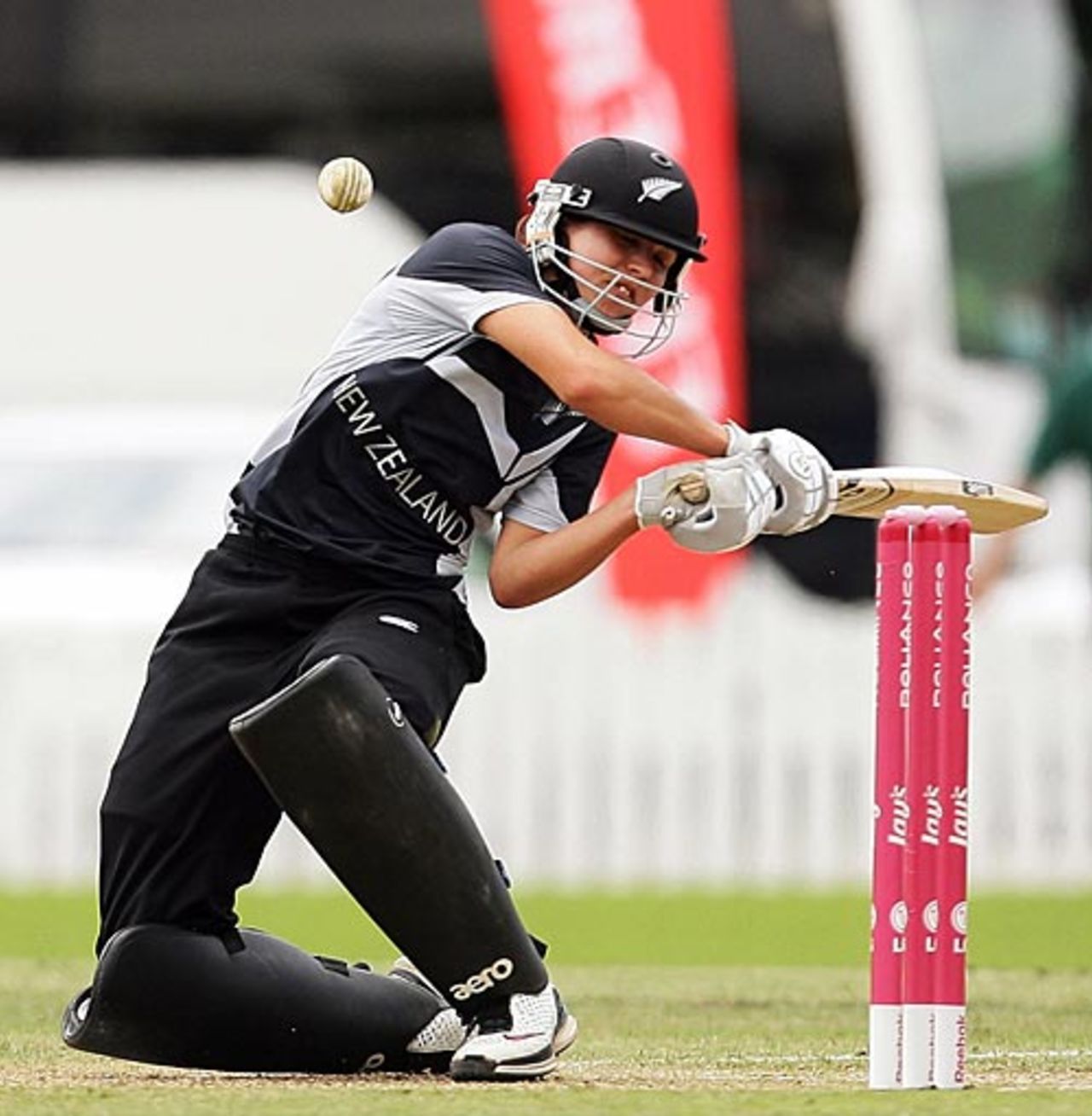 Sara McGlashan tries to pull, New Zealand v South Africa, Group A, women's World Cup, Bradman Oval, Bowral, March 12, 2009