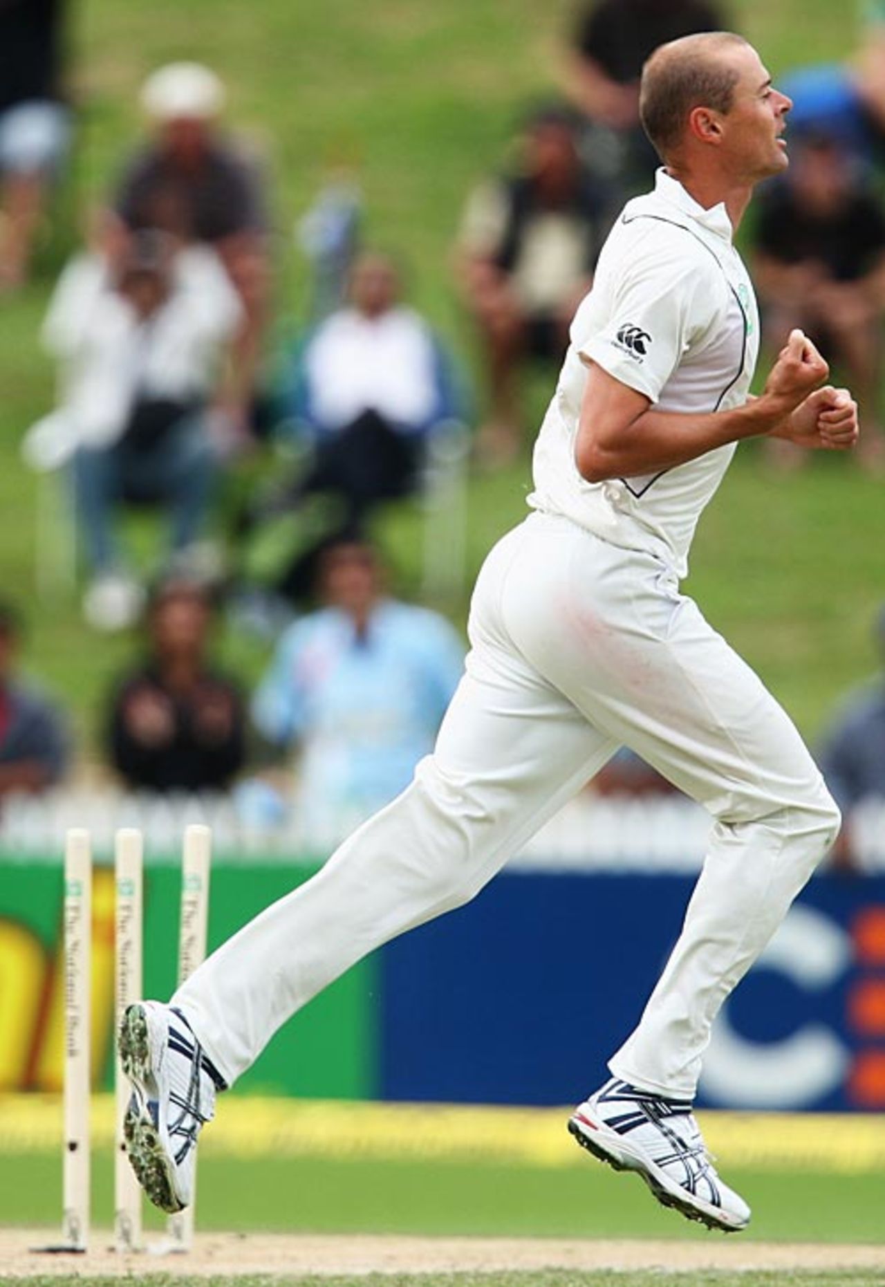 Chris Martin celebrates bowling Yuvraj Singh, New Zealand v India, 1st Test, Hamilton, 3rd day, March 20, 2009