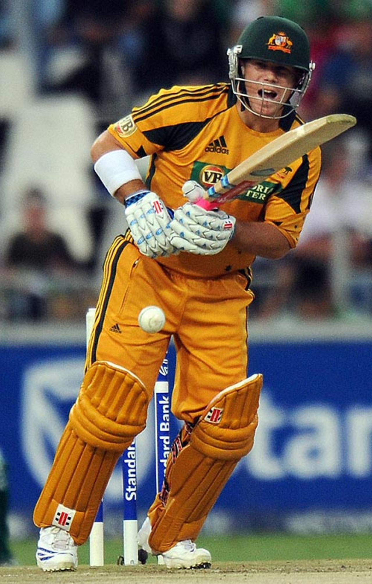 David Warner decides against a single, South Africa v Australia, 1st Twenty20 international, Johannesburg, March 27, 2009