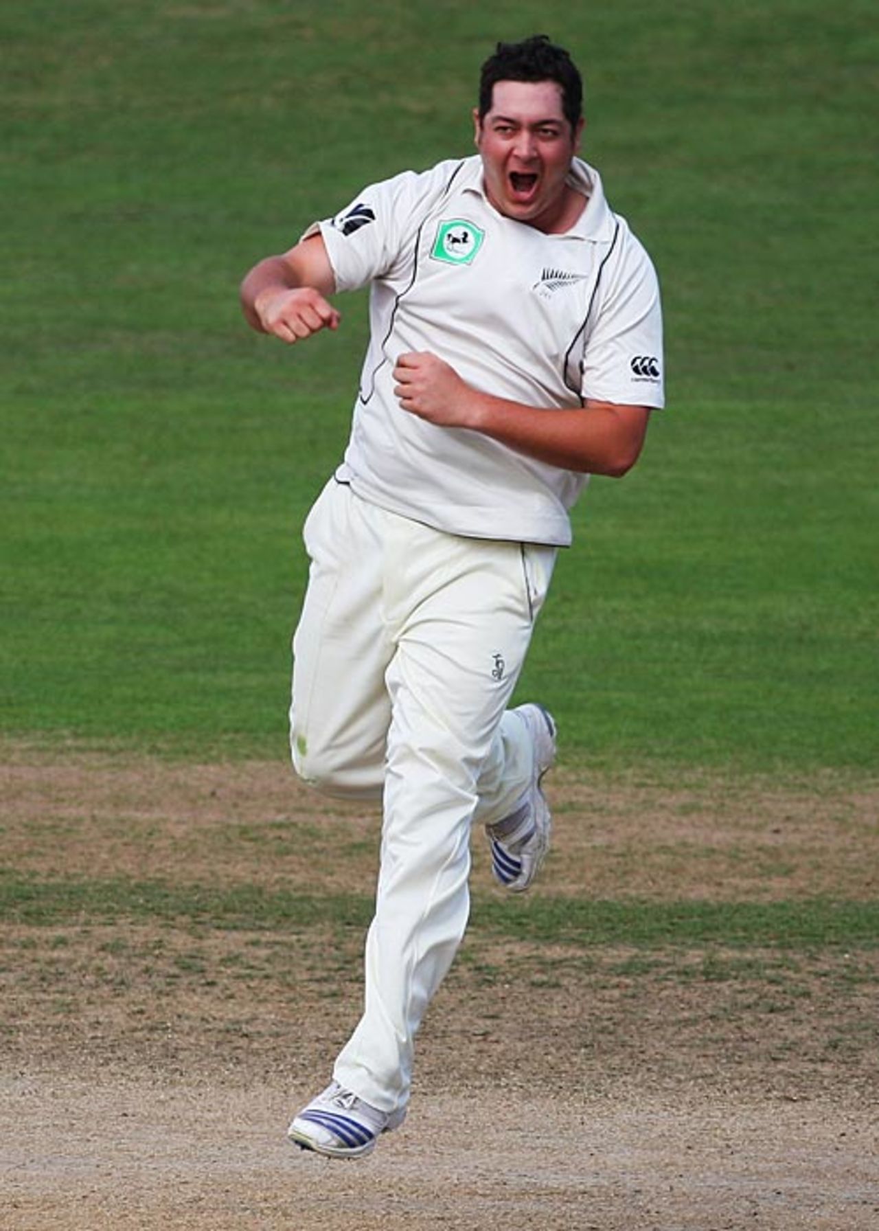 Jesse Ryder is thrilled after dismissing Rahul Dravid, New Zealand v India, 2nd Test, Napier, 3rd day, March 28, 2009