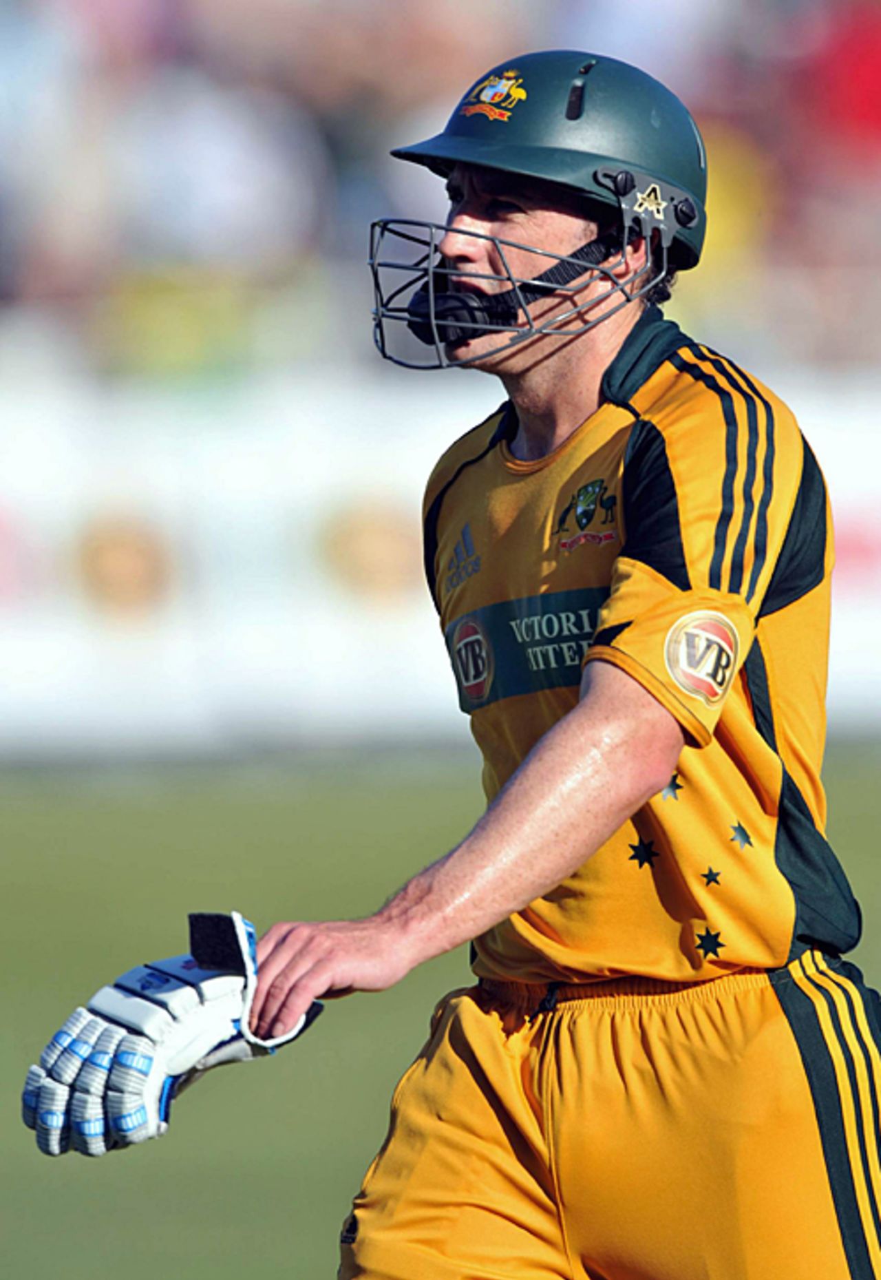 A disappointed David Hussey heads back to the pavilion, South Africa v Australia, 1st ODI, Durban, April 3, 2009