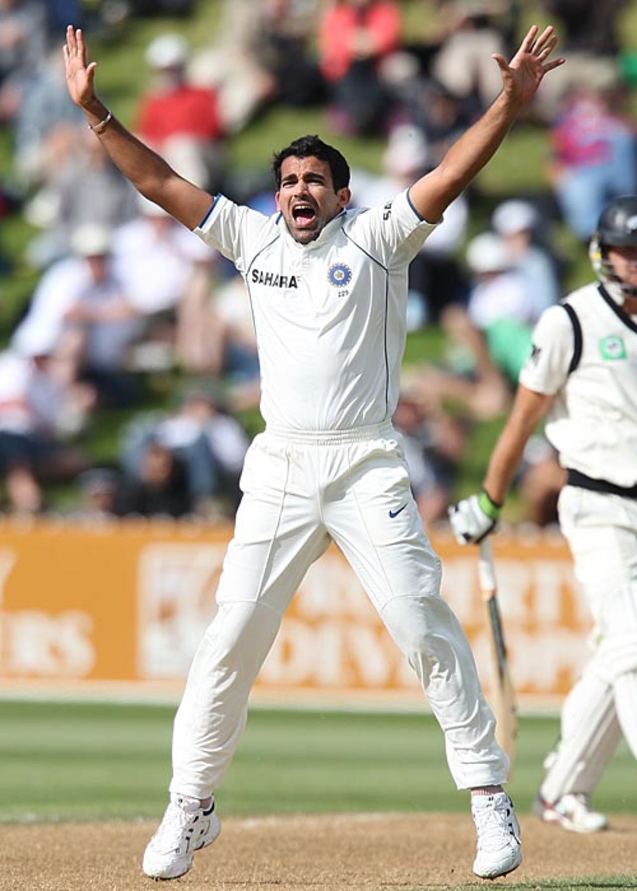 Zaheer Khan appeals, New Zealand v India, 3rd Test, Wellington, 2nd day, April 4, 2009