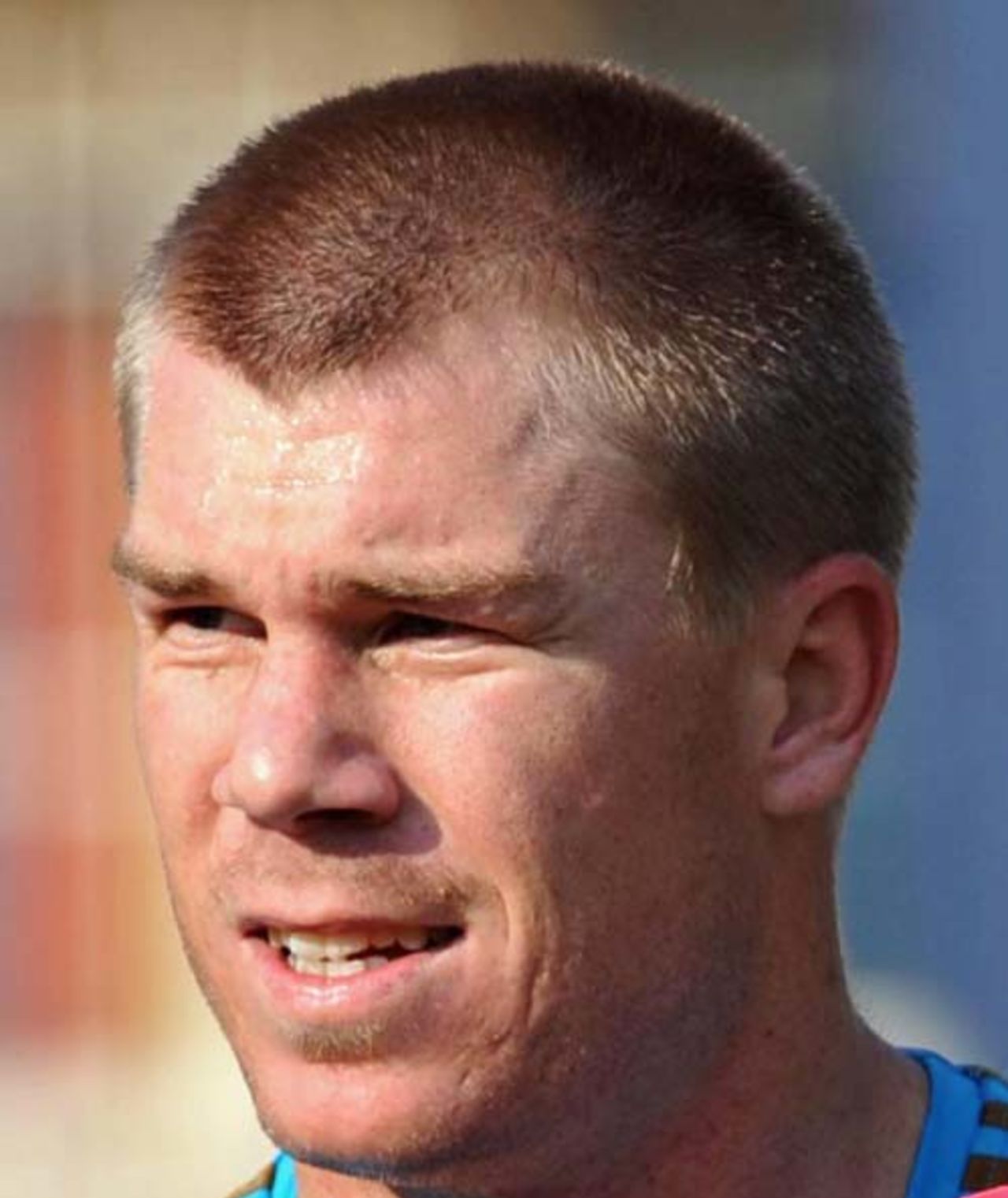 Portrait of David Warner