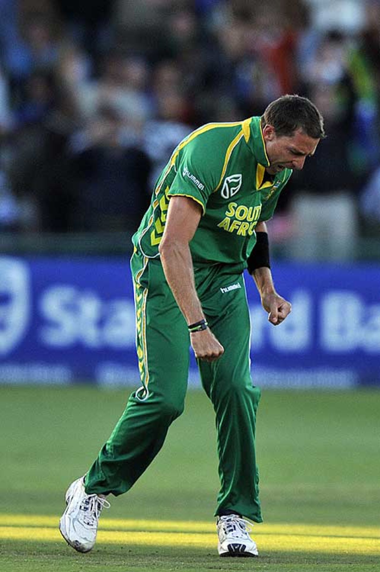 Dale Steyn took four to hasten Australia's defeat, South Africa v Australia, 4th ODI, Port Elizabeth, April 13, 2009