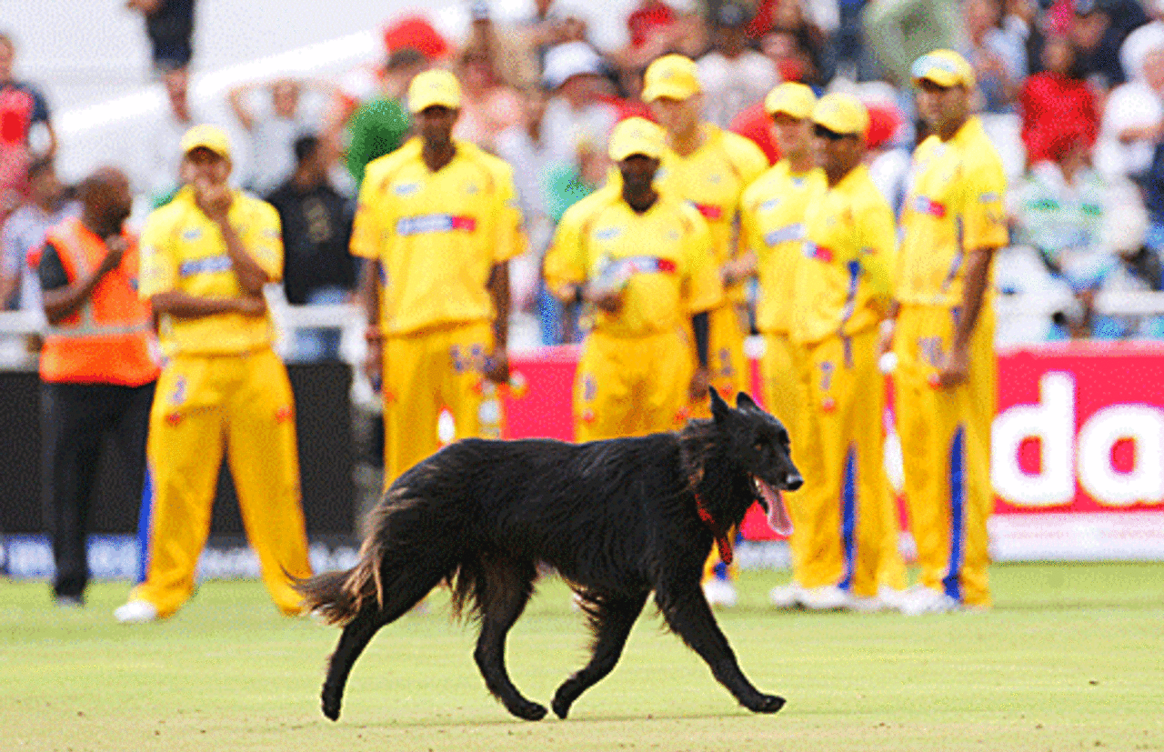 This dog held up play, running round the field, for more than ten minutes, Chennai Super Kings v Mumbai Indians, IPL, 1st game, Cape Town, April 18, 2009