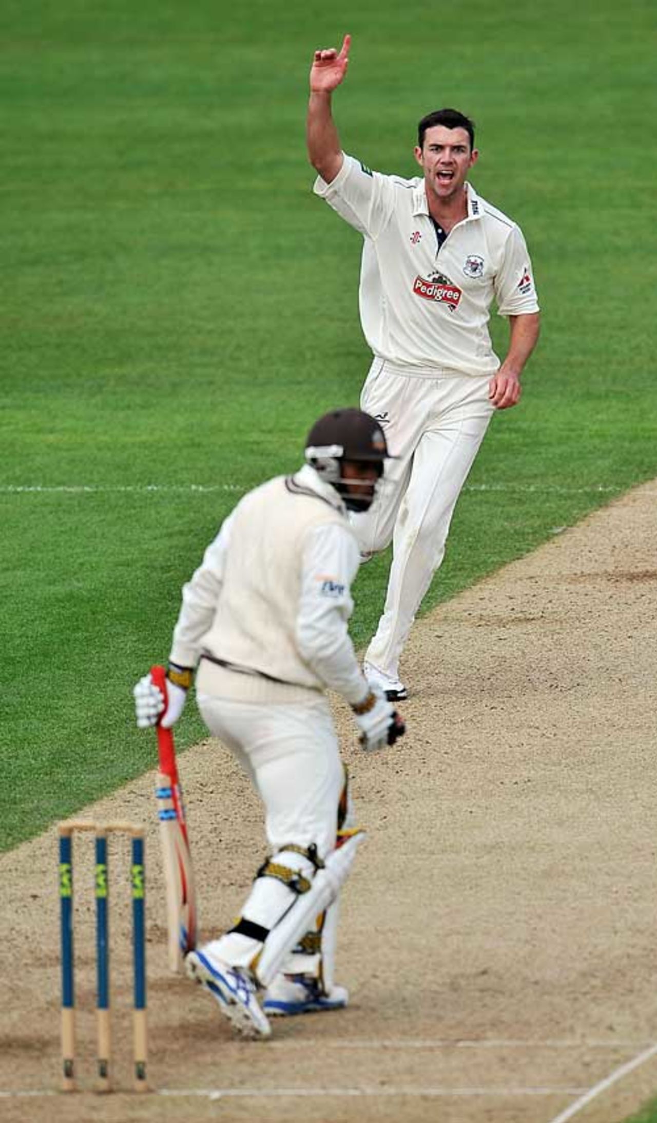 James Franklin removes Chris Jordan as Surrey struggle, Surrey v Gloucestershire, County Championship Division Two, The Oval, April 18, 2009