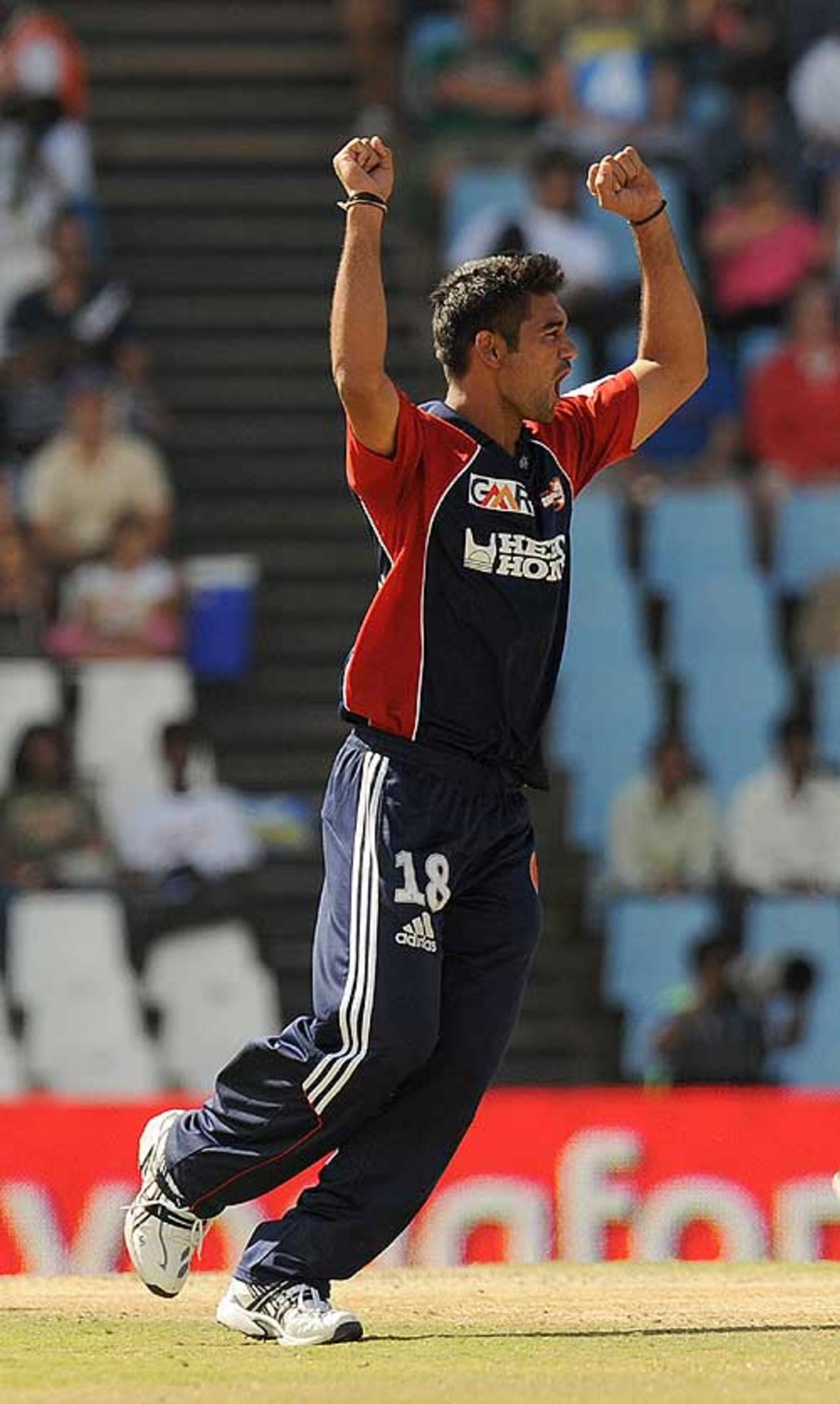 Pradeep Sangwan celebrates a wicket, Deccan Chargers v Delhi Daredevils, IPL, 21st match, Centurion, April 30, 2009