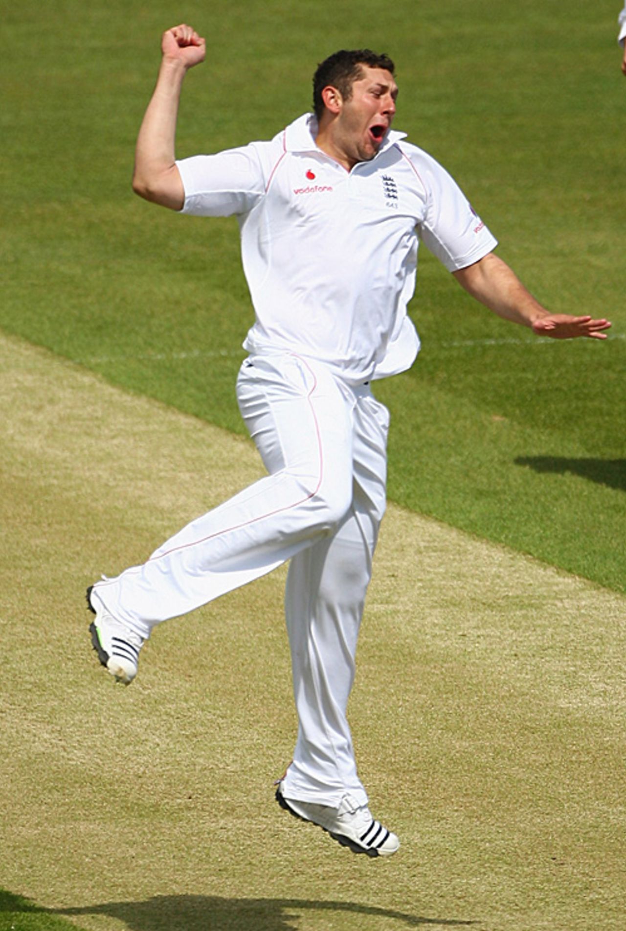 Tim Bresnan leaps to celebrate his maiden Test wicket, England v West Indies, 2nd Test, Chester-le-Street, 5th day, May 18, 2009