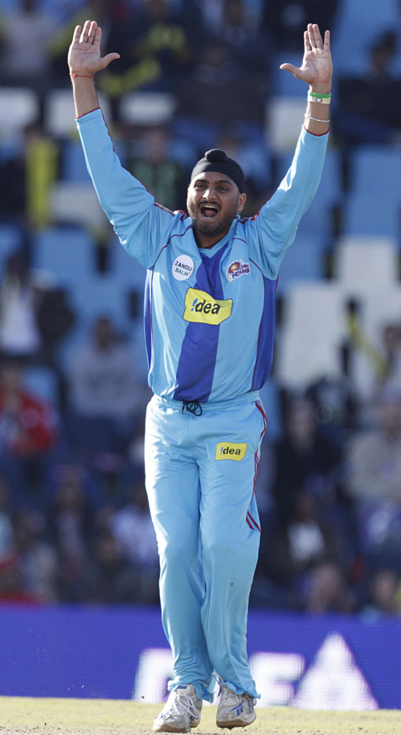 Harbhajan Singh celebrates his four-wicket haul, Delhi Daredevils v Mumbai Indians, IPL, 55th match, Centurion, May 21, 2009