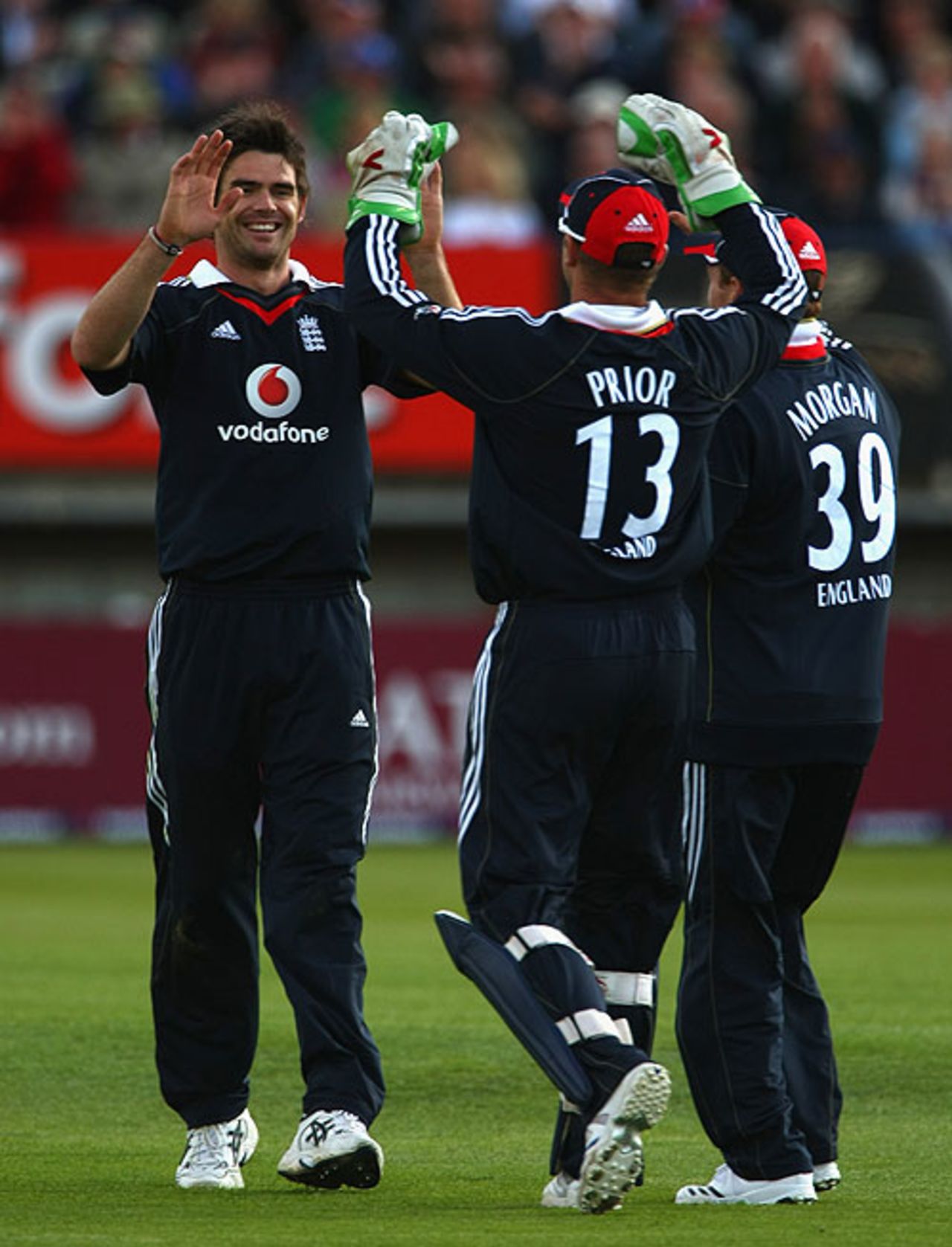 James Anderson celebrates the demise of Denesh Ramdin, England v West Indies, 3rd ODI, Edgbaston, May 26, 2009