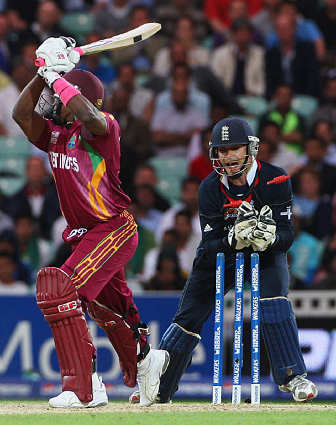 James Foster pulls off his second outstanding stumping in two days, this time to dismiss Dwayne Bravo, ICC World Twenty20, The Oval, June 15, 2009