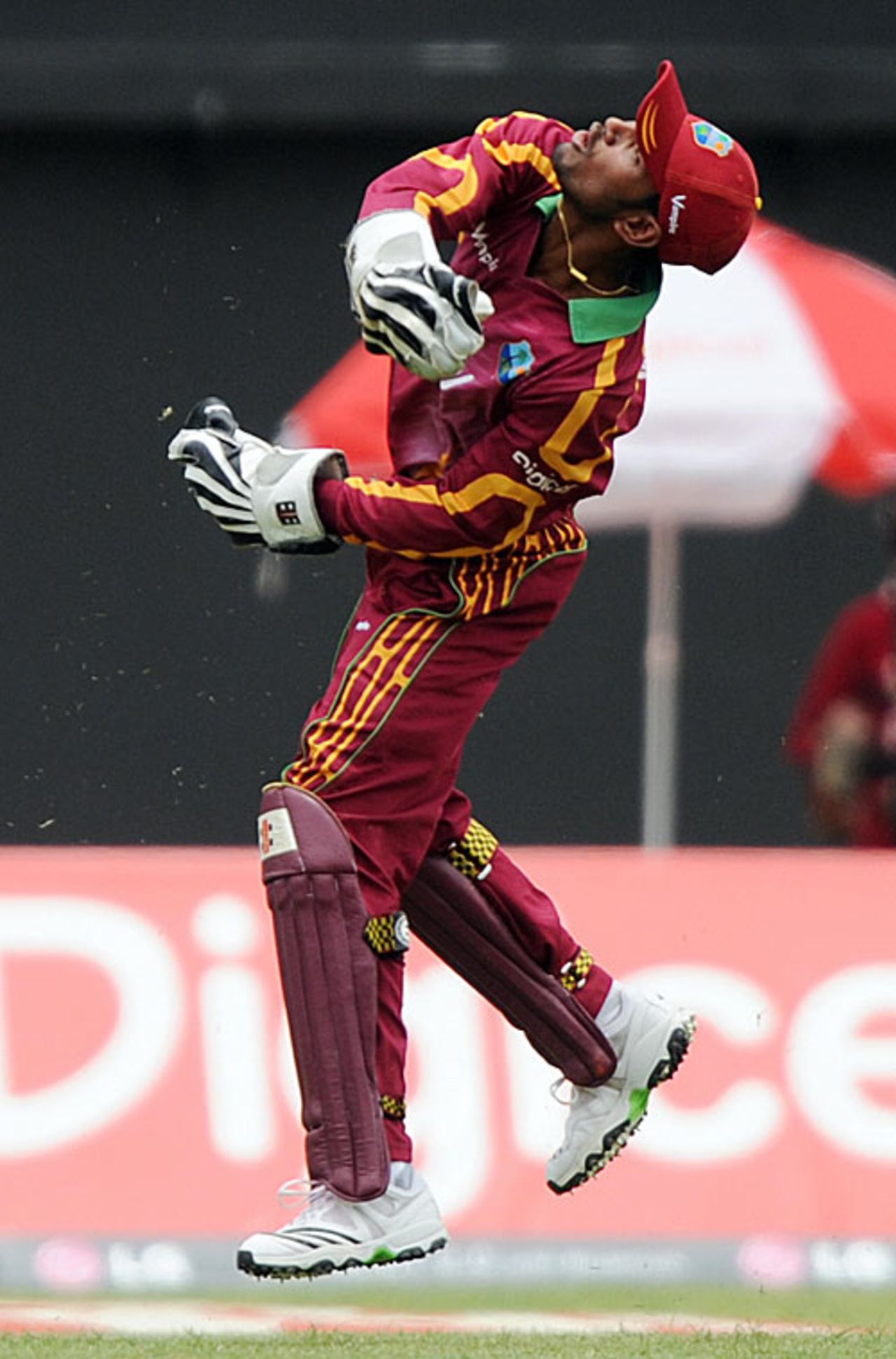 Denesh Ramdin is elated after catching Yuvraj Singh, West Indies v India, 1st ODI, Kingston, June 26, 2009