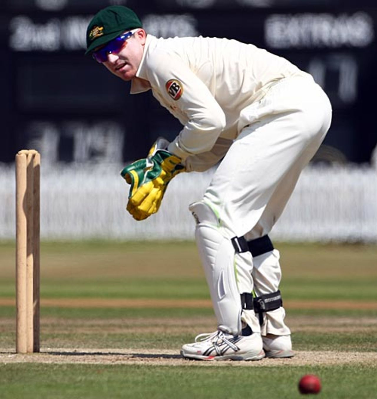 Brad Haddin watches the ball roll away, Sussex v Australians, 4th day, Hove, June 27, 2009 