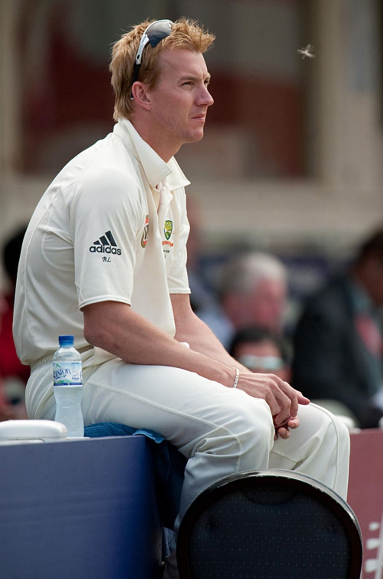 Sorely missed: an injured Brett Lee watches on from the sideline, England v Australia, 3rd Test, Edgbaston, 5th day, August 3, 2009