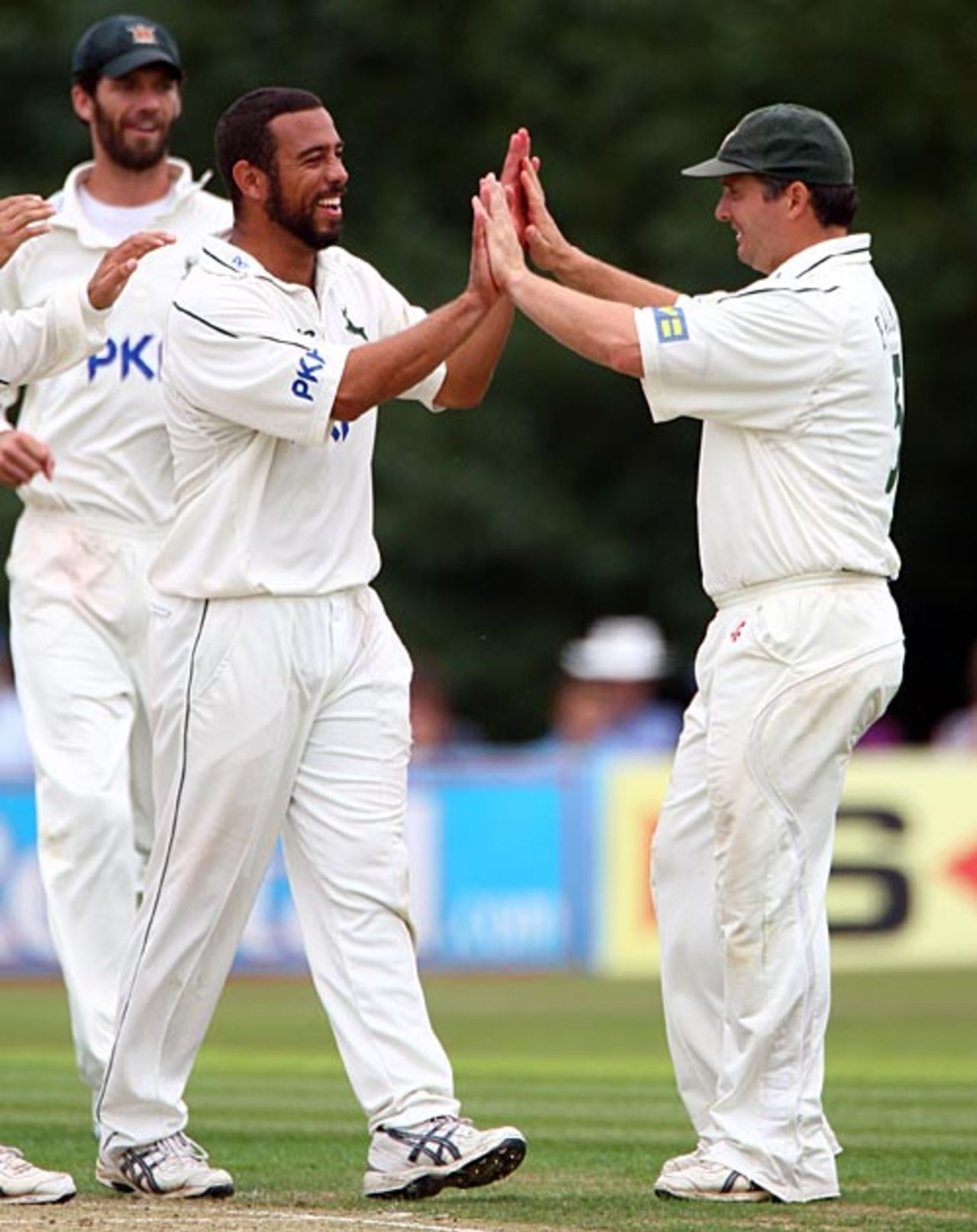 Andre Adams celebrates Andy Hodd's wicket, Nottinghamshire v Sussex, County Championship Division One, Horsham, August 5, 2009