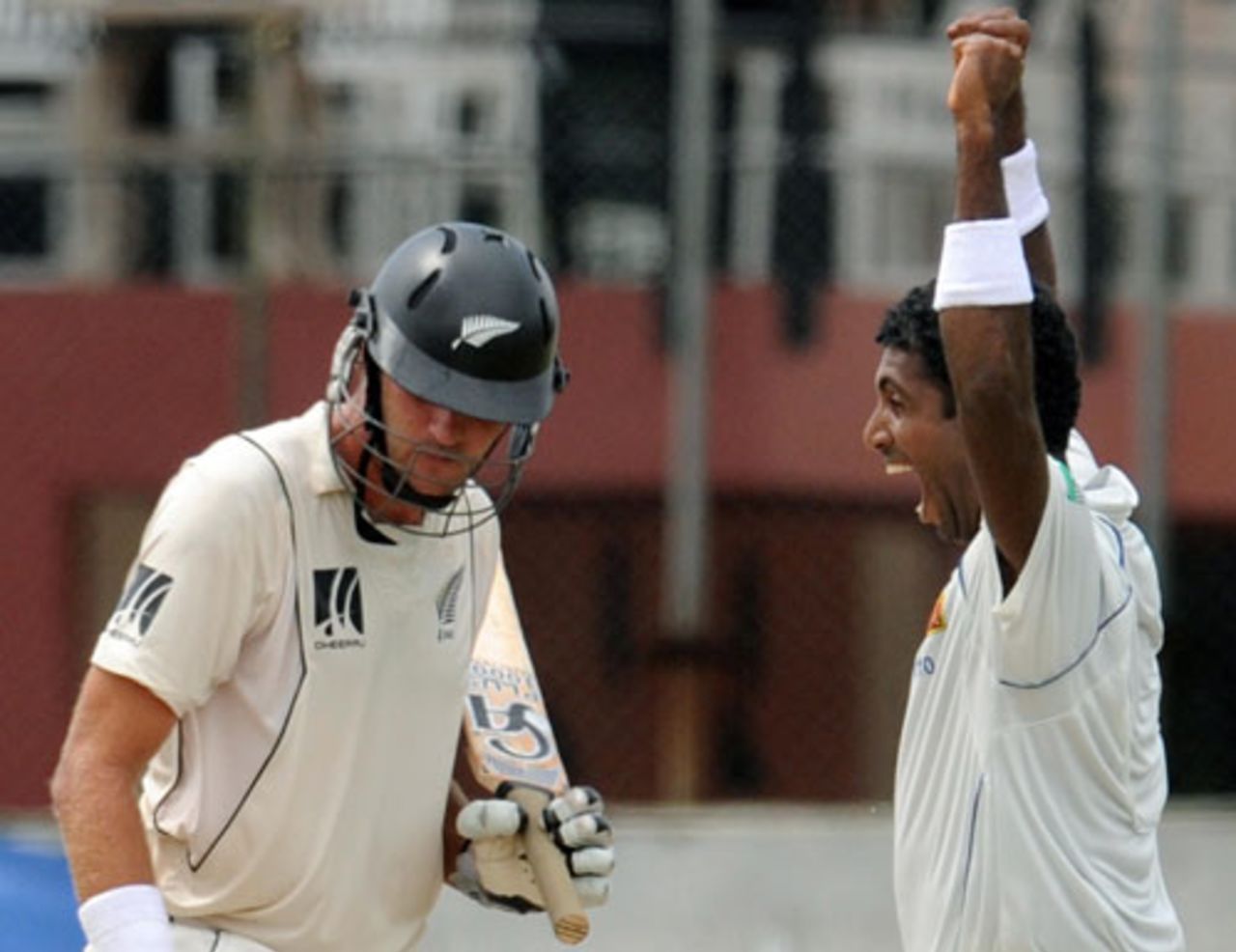 Contrasting emotions: Tim McIntosh after being bowled by Dammika Prasad, Sri Lanka v New Zealand, 2nd Test, SSC, Colombo, 4th day, August 29, 2009 