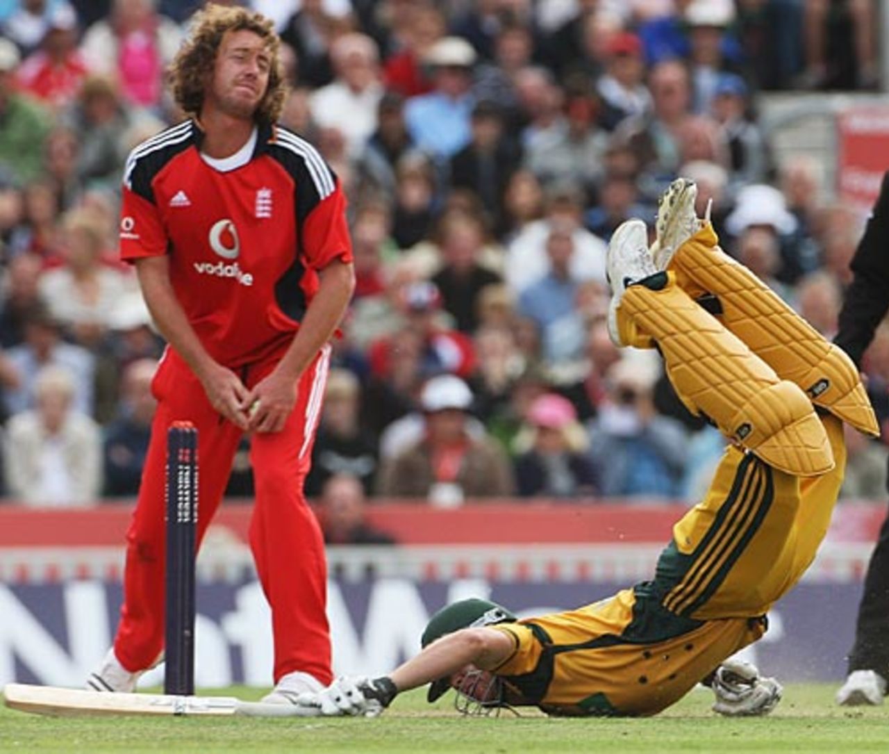 James Hopes dives to make his ground, England v Australia, 1st ODI, The Oval, September 4, 2009