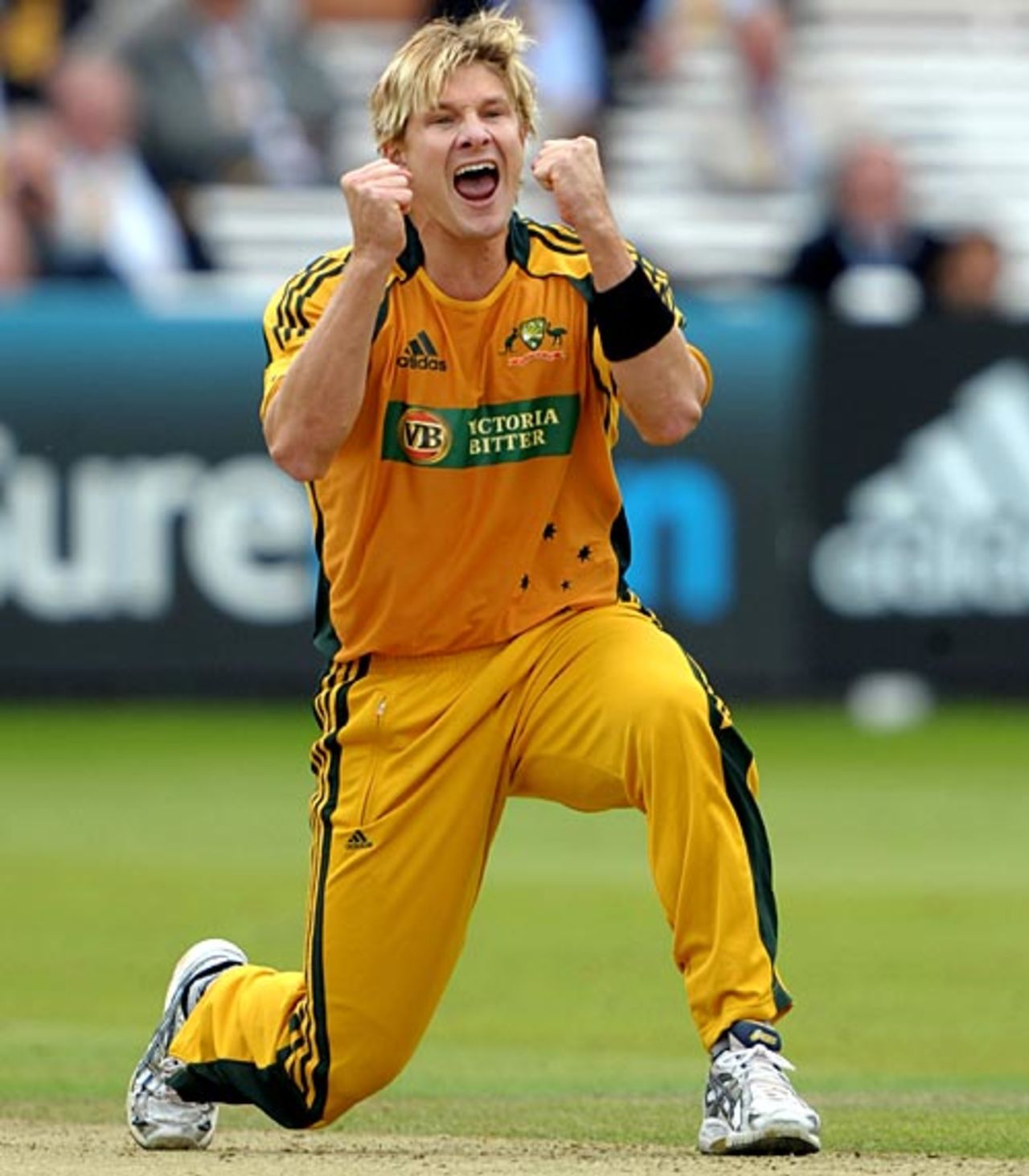 Shane Watson is thrilled with Ravi Bopara's wicket, England v Australia, 2nd ODI, Lord's, September 6, 2009