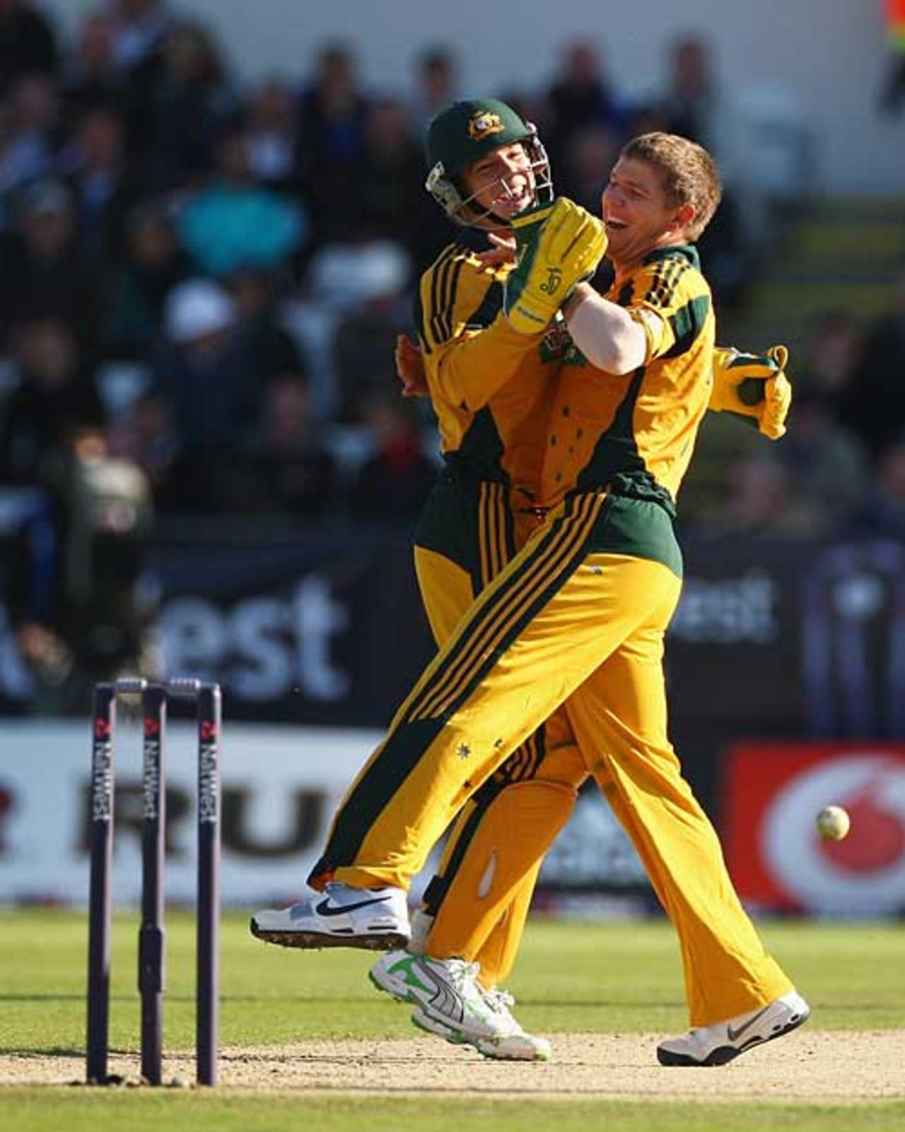 James Hopes and Tim Paine celebrated the wicket of Owais Shah, England v Australia, 7th ODI, Chester-le-Street, September 20, 2009