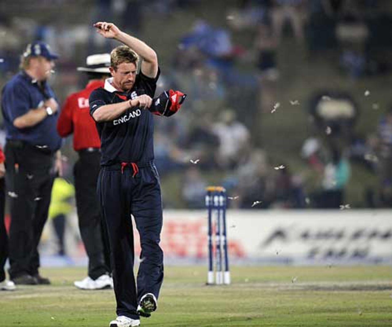 Paul Collingwood wafts away the insects that caused a delay in play, Australia v England, 1st semi-final, Champions Trophy, Centurion Park, October 2, 2009