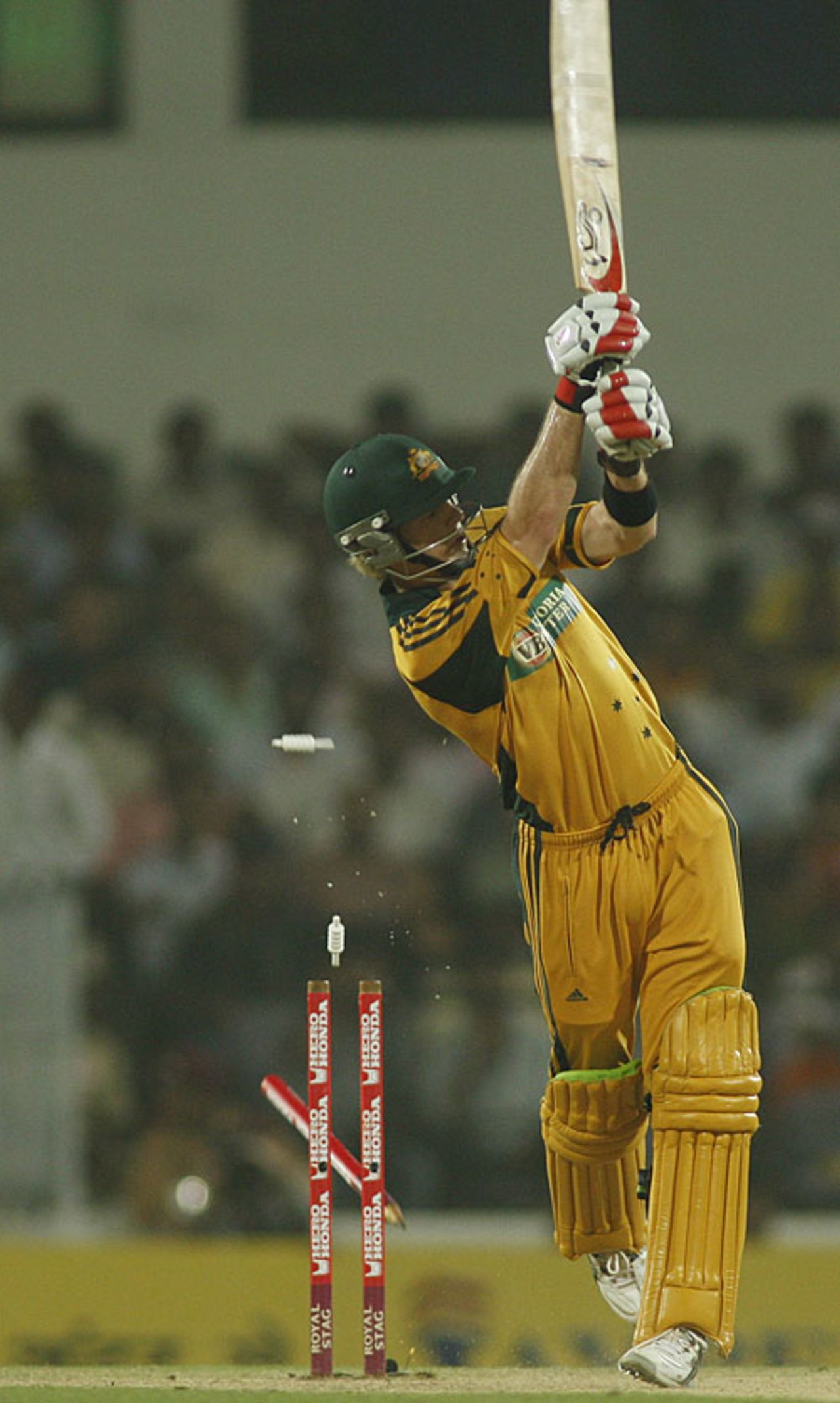 Tim Paine loses his leg stump, India v Australia, 2nd ODI, Nagpur, October 28, 2009