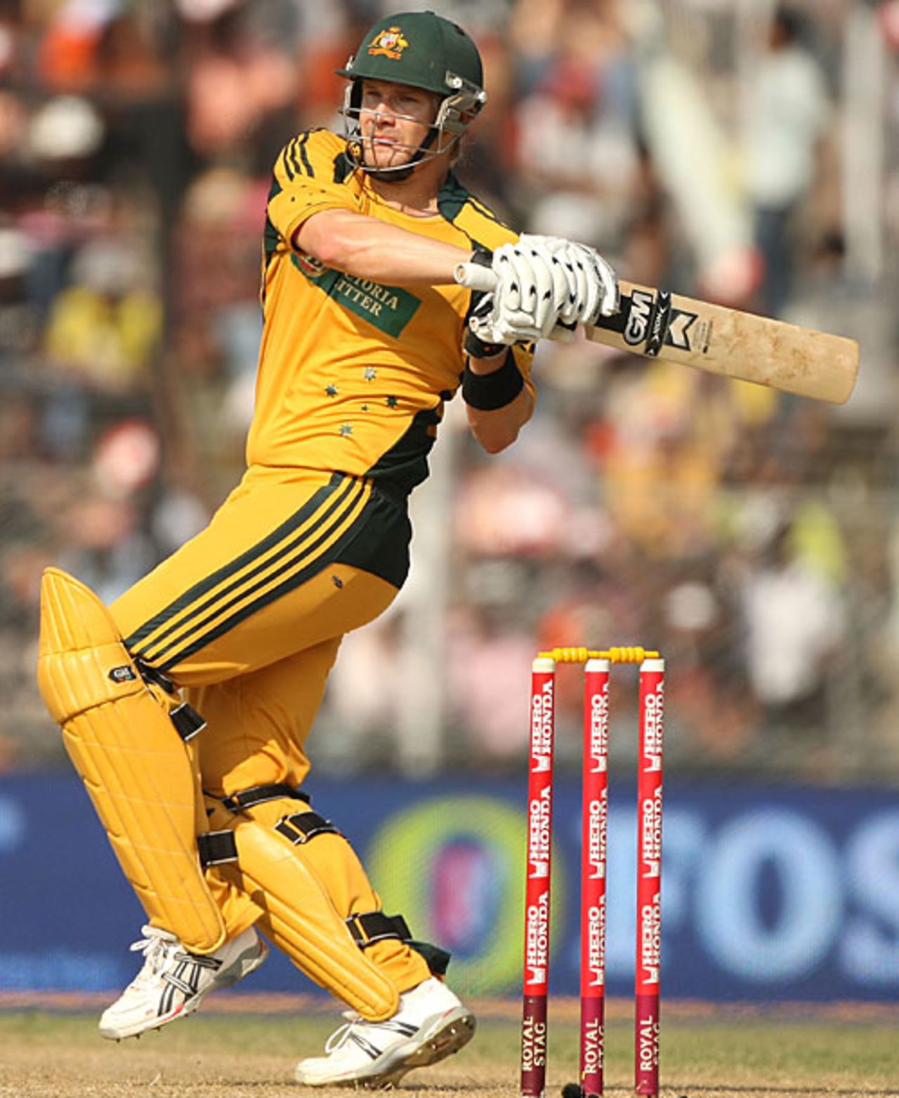Shane Watson pulls, India v Australia, 6th ODI, Guwahati, November 8, 2009
