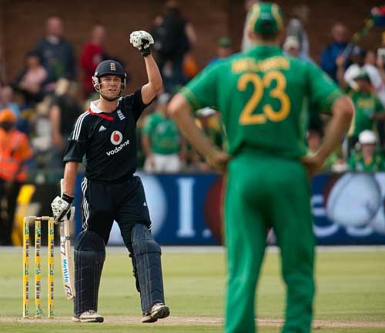 Jonathan Trott punches the air after England's victory, South Africa v England, 4th ODI, Port Elizabeth, November 29, 2009