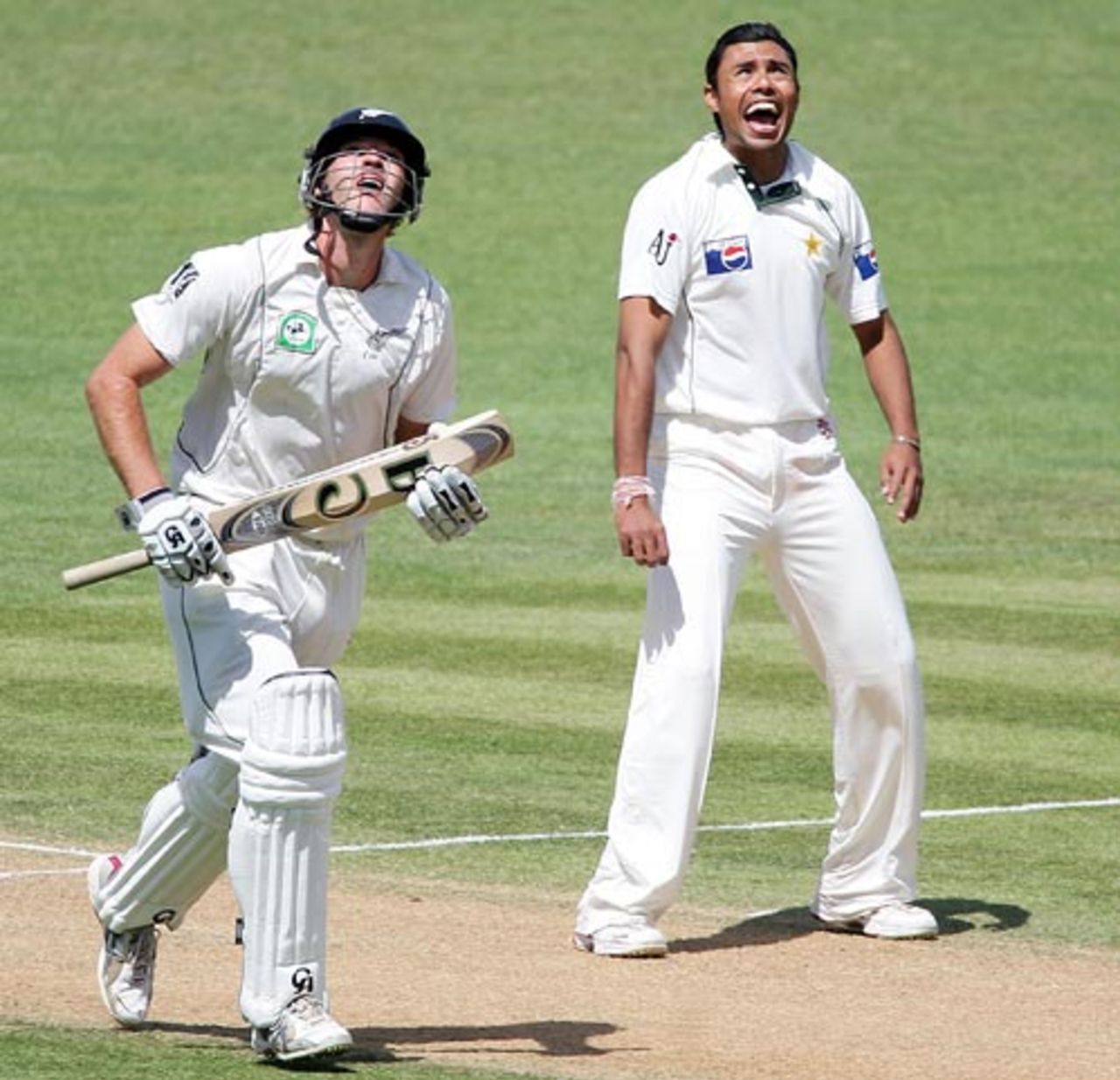 Danish Kaneria calls for Mohammad Yousuf to catch Ross Taylor, New Zealand v Pakistan, 3rd Test, Napier, 2nd day, December 12, 2009