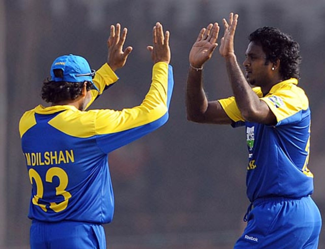 Dilhara Fernando celebrates Sachin Tendulkar's wicket, India v Sri Lanka, 1st ODI, Rajkot, December 15, 2009