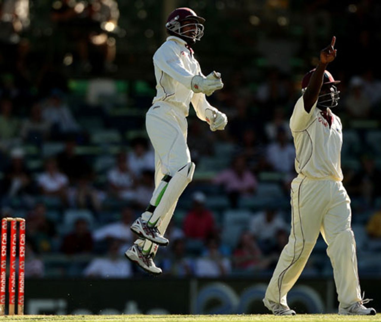 Denesh Ramdin jumps to celebrate Brad Haddin's dismissal , 2nd Test, Perth, 18 December, 2009