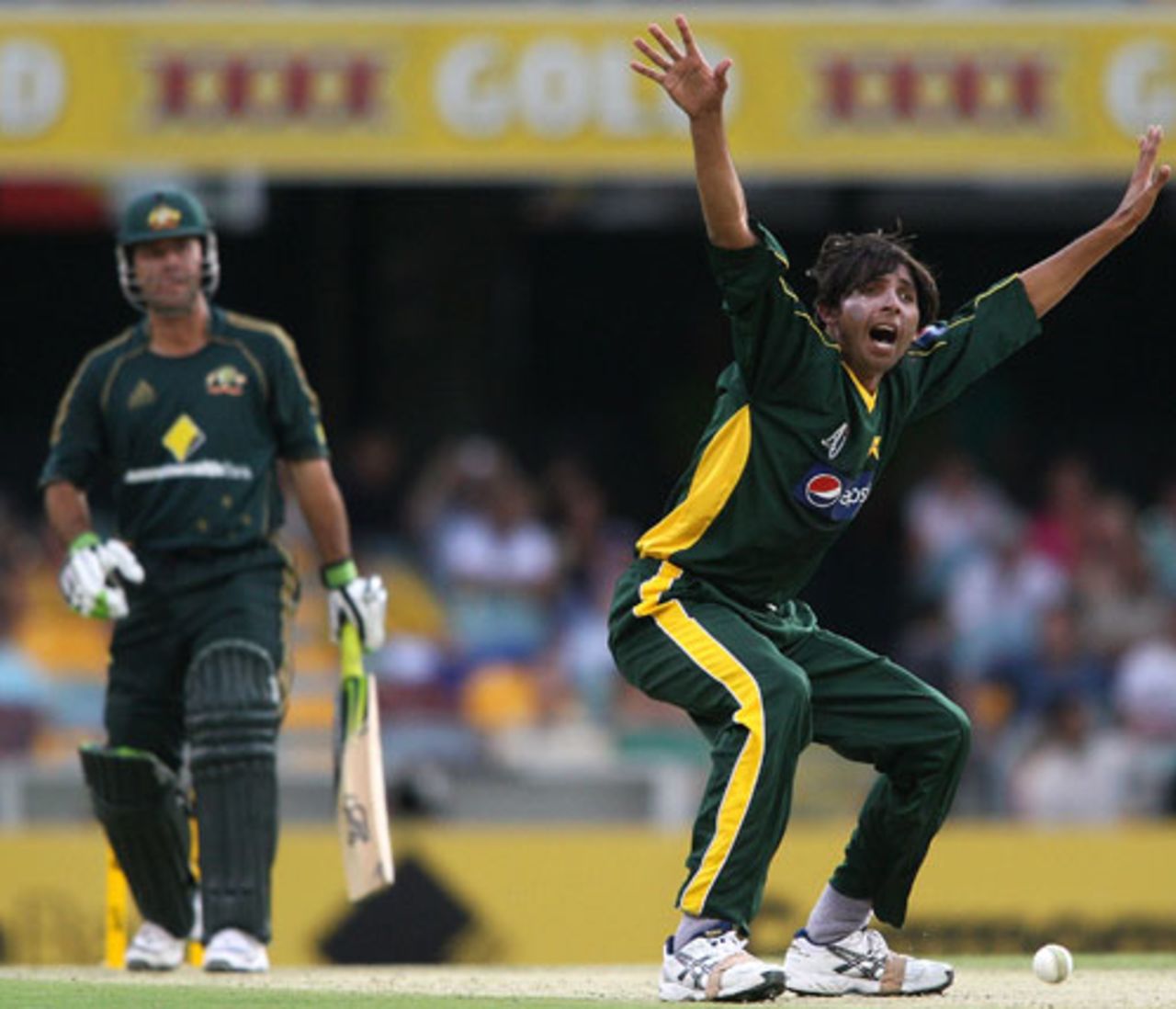 Mohammad Asif appeals vociferously against Ricky Ponting, Australia v Pakistan, 1st ODI, Brisbane, January 22, 2010