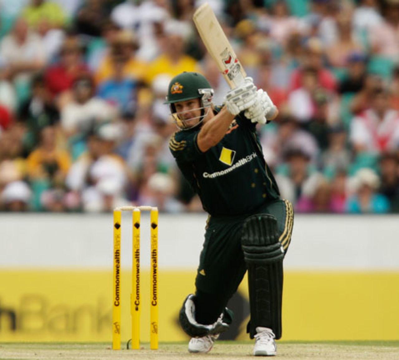 Shane Watson shows style and power, Australia v Pakistan, 2nd ODI, Sydney, January 24, 2010
