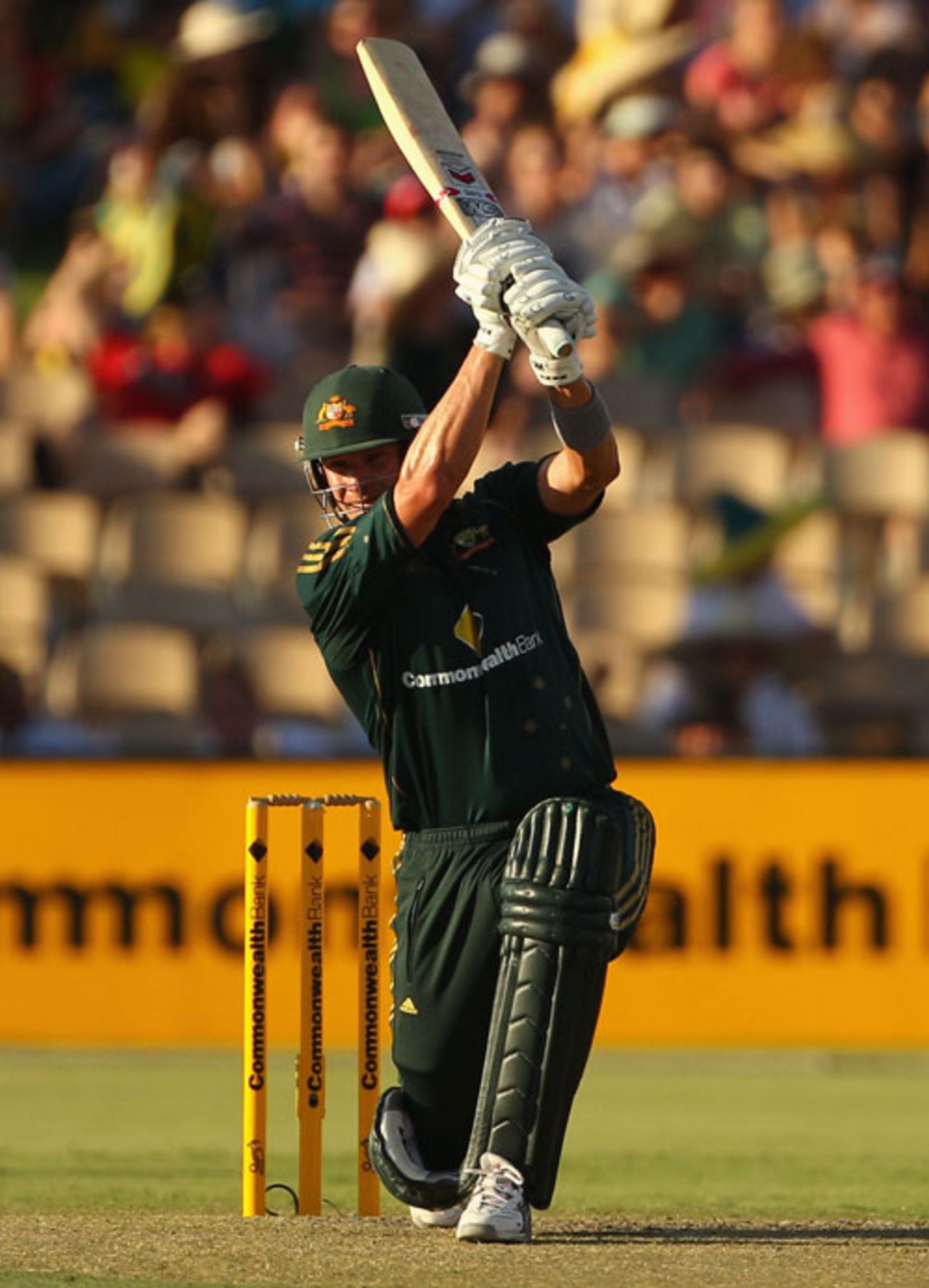 Shane Watson was in fine touch on the way to 53, Australia v West Indies, 2nd ODI, Adelaide, 9 February, 2010