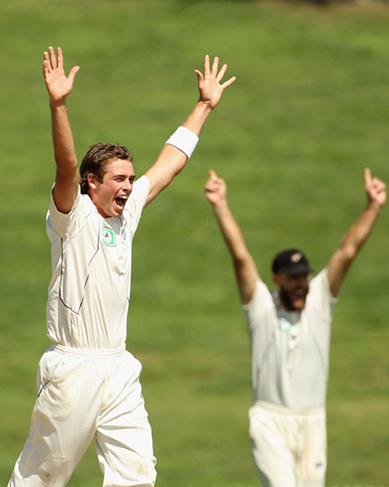 Tim Southee turned in a good final day, New Zealand v Bangladesh, only Test, Hamilton, 5th day, February 19, 2010