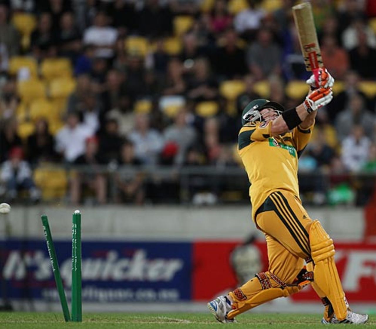 David Warner missed the pull and is bowled, New Zealand v Australia, 1st Twenty20, Wellington, February 26, 2010