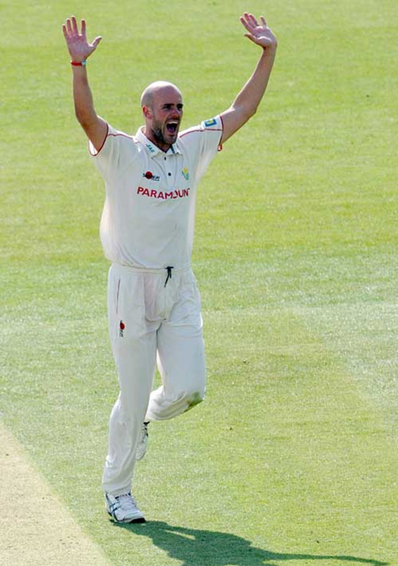 David Harrison completes his five-wicket haul, Middlesex v Glamorgan, County Championship, Division Two, Lord's, April 16, 2010