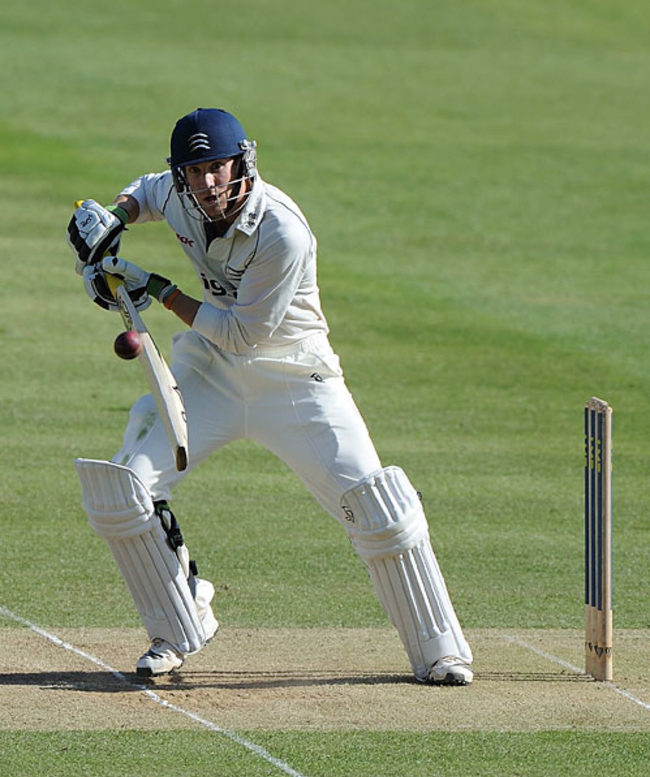 Dawid Malan shared a 143-run stand with  Andrew Strauss, Middlesex v Glamorgan, County Championship, Division Two, Lord's, April 17, 2010